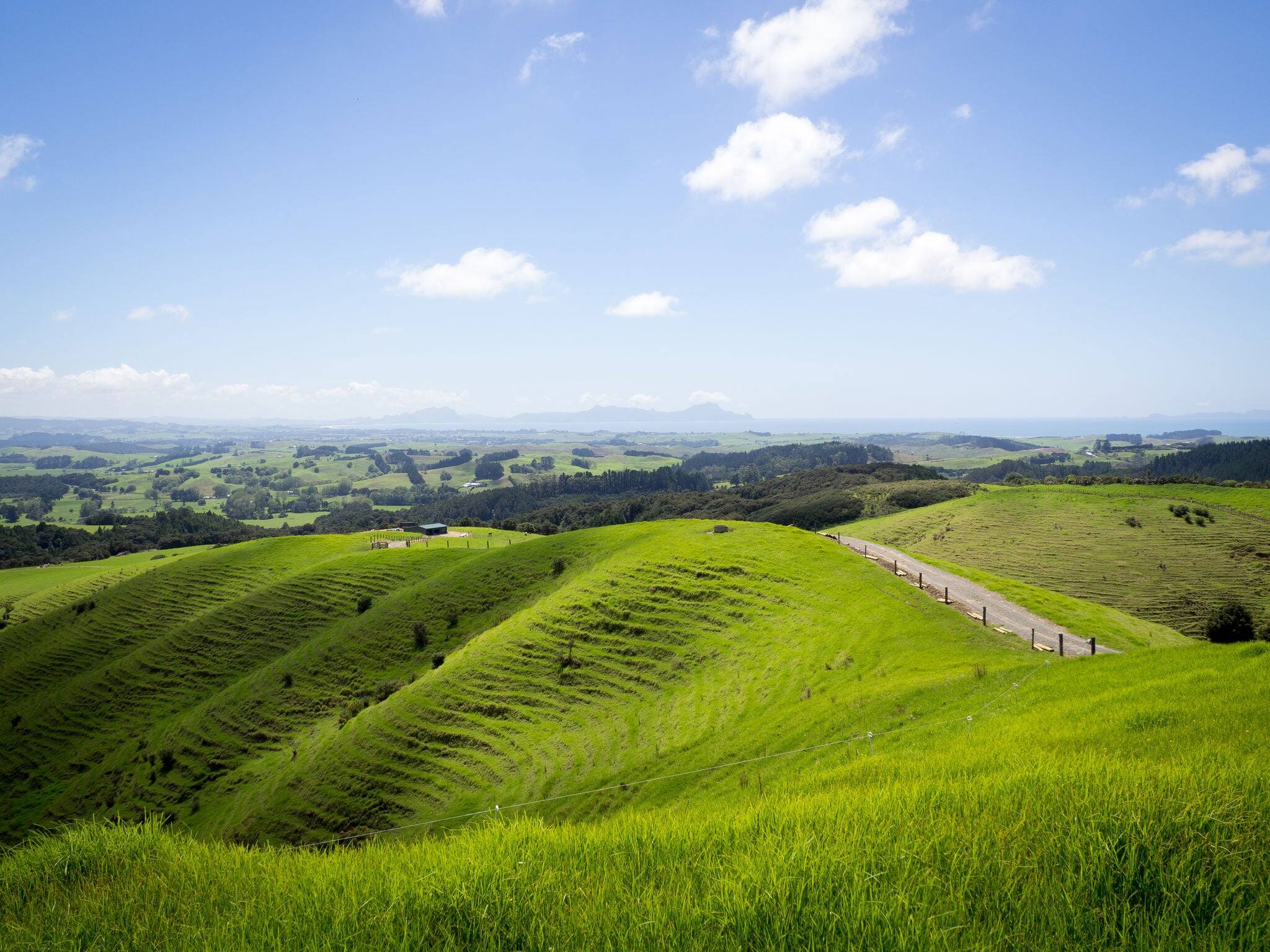 Beautiful Green New Zealand Landscape over a Farm Looking Out to Whangarei Heads and Ruakaka