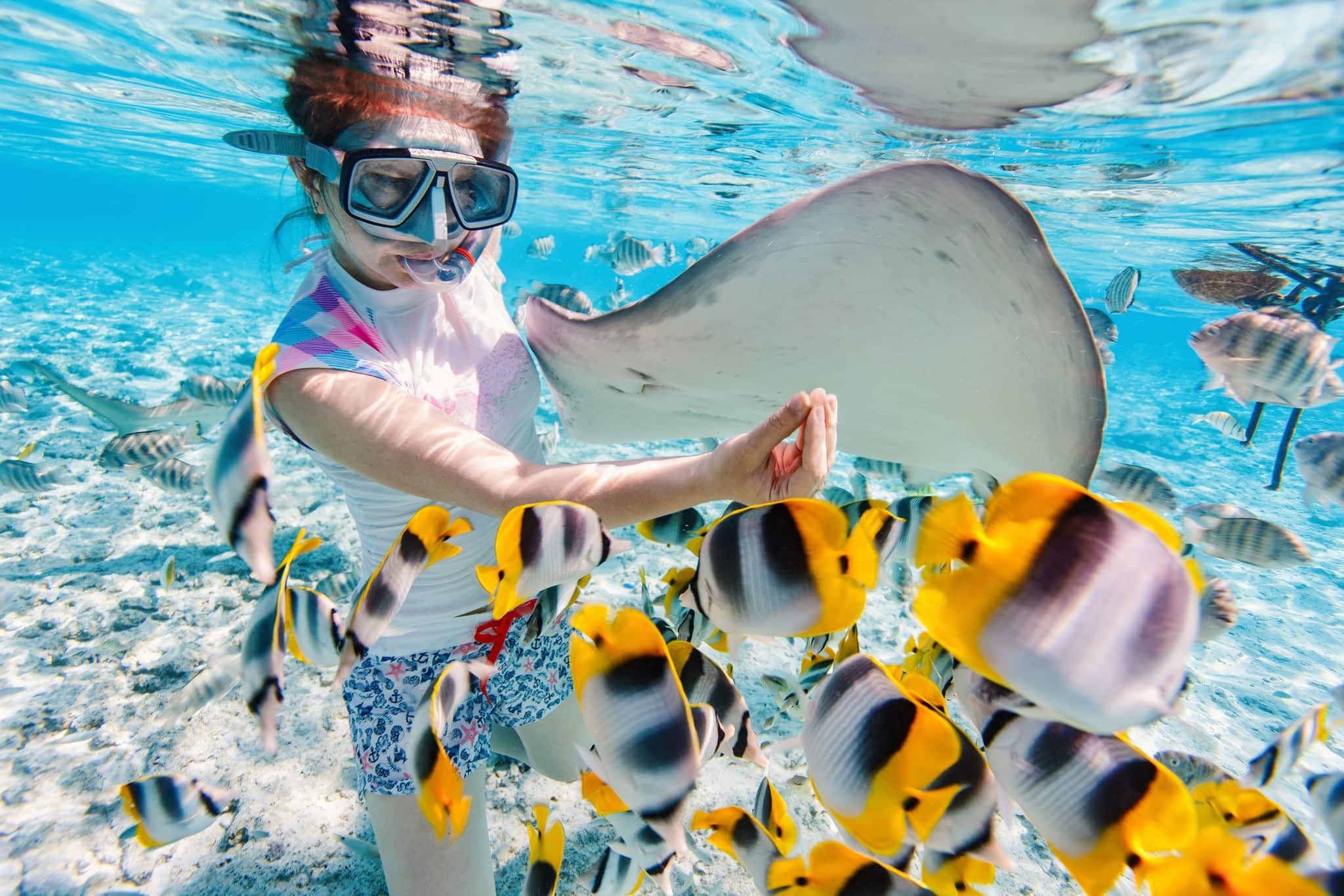 Woman snorkeling in clear tropical waters among colorful fish