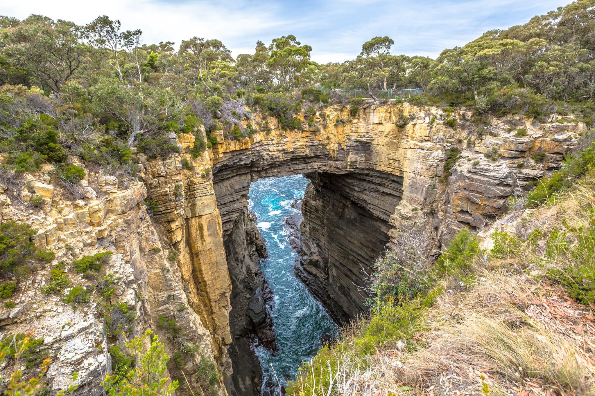 Tasman Arch is an unusual geological formation found in the Tasman National Park, Tasman Peninsula in the south east coast of Tasmania, Australia.