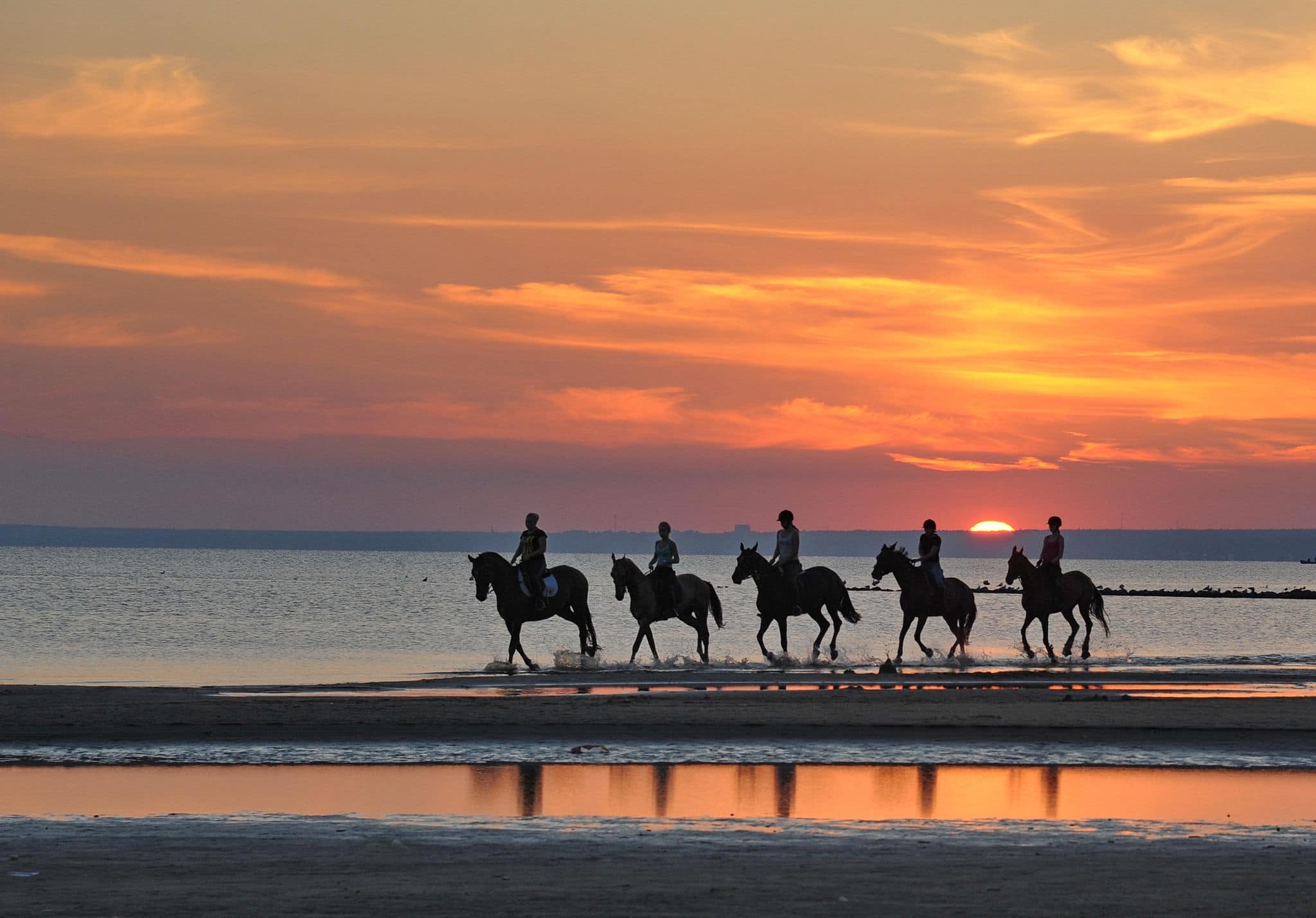 In the picture sunset at sea.Reflections of the sunset light on the water, beautiful colors of the sky.Horses rode along the shore.