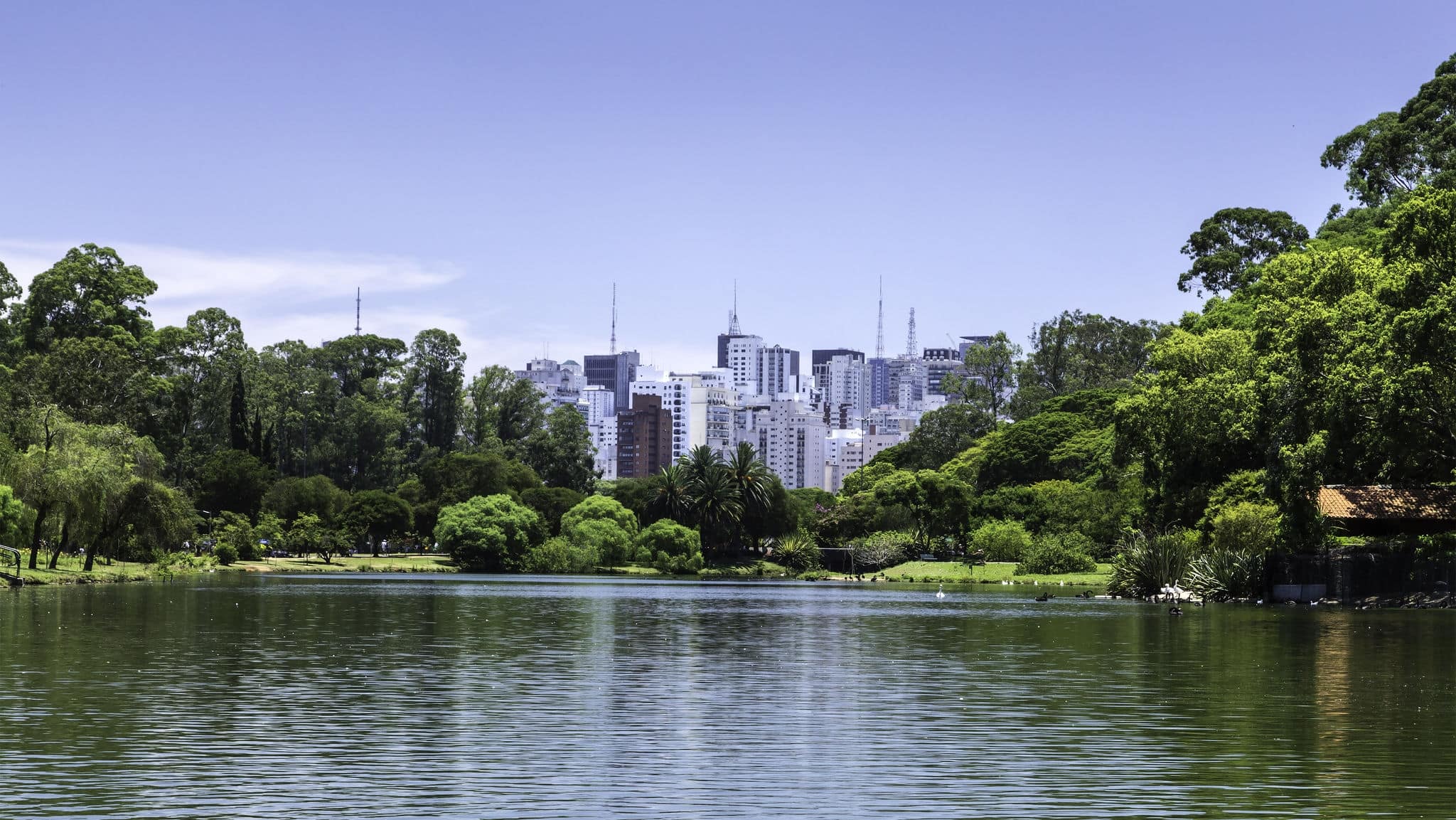 Ibirapuera Park in Sao Paulo, Brazil
