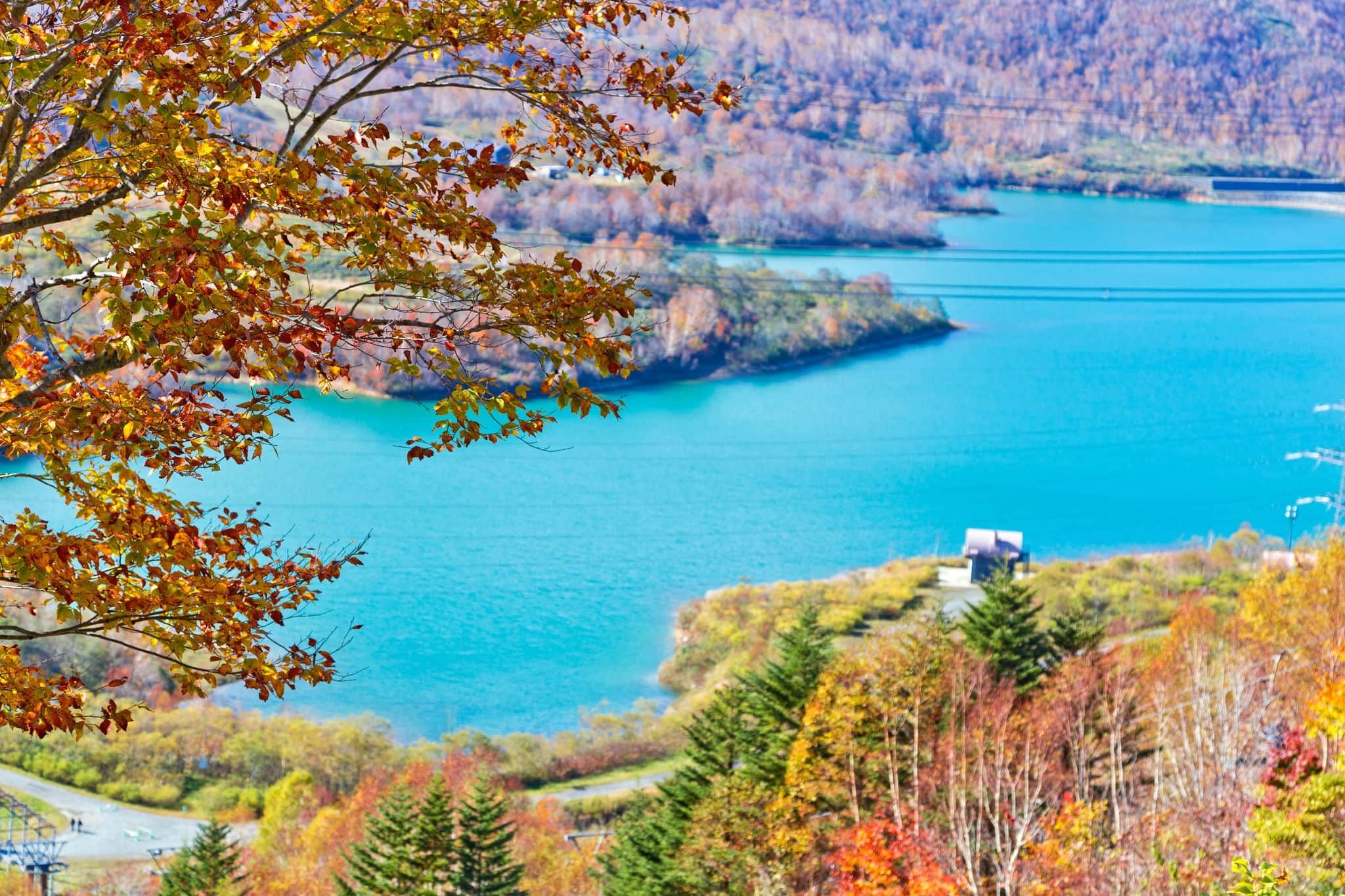 Nature trails at Mt. Naeba, Echigo Yuzawa, Niigata Prefecture, Japan