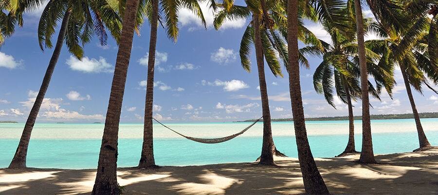 Beachfront hammock hanging between palm trees.