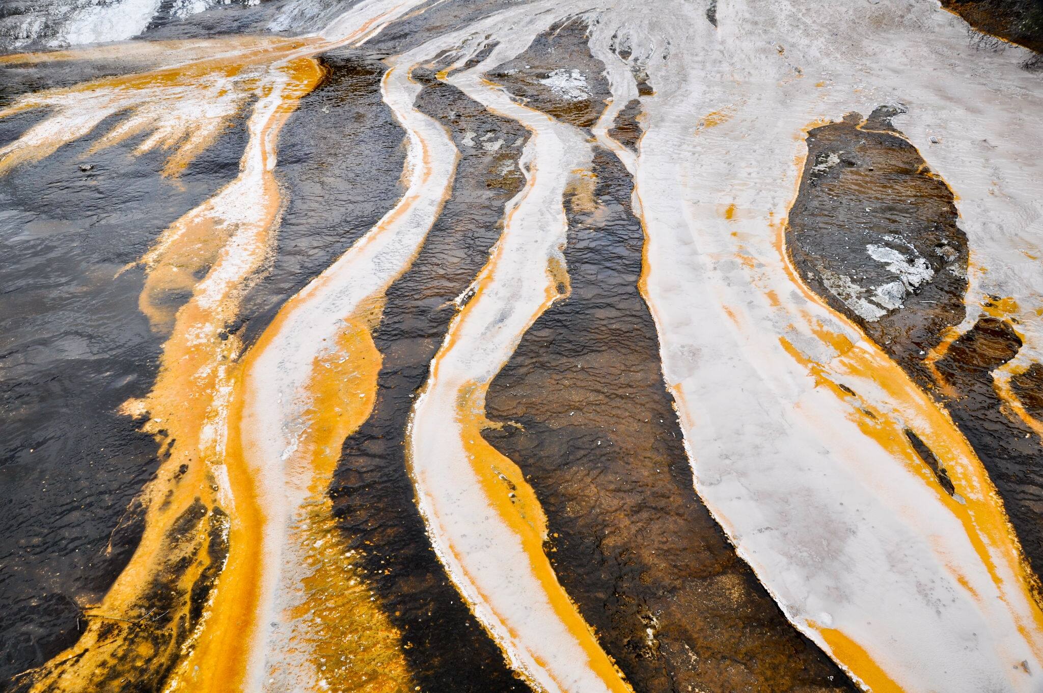 Orako Korakei geothermal park in Rotorua, New Zealand