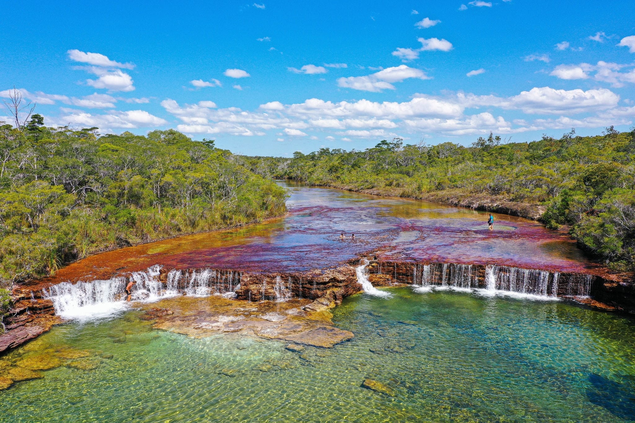 Iconic Fruit Bat falls on the Old telegraph track, Cape york, Queensland.