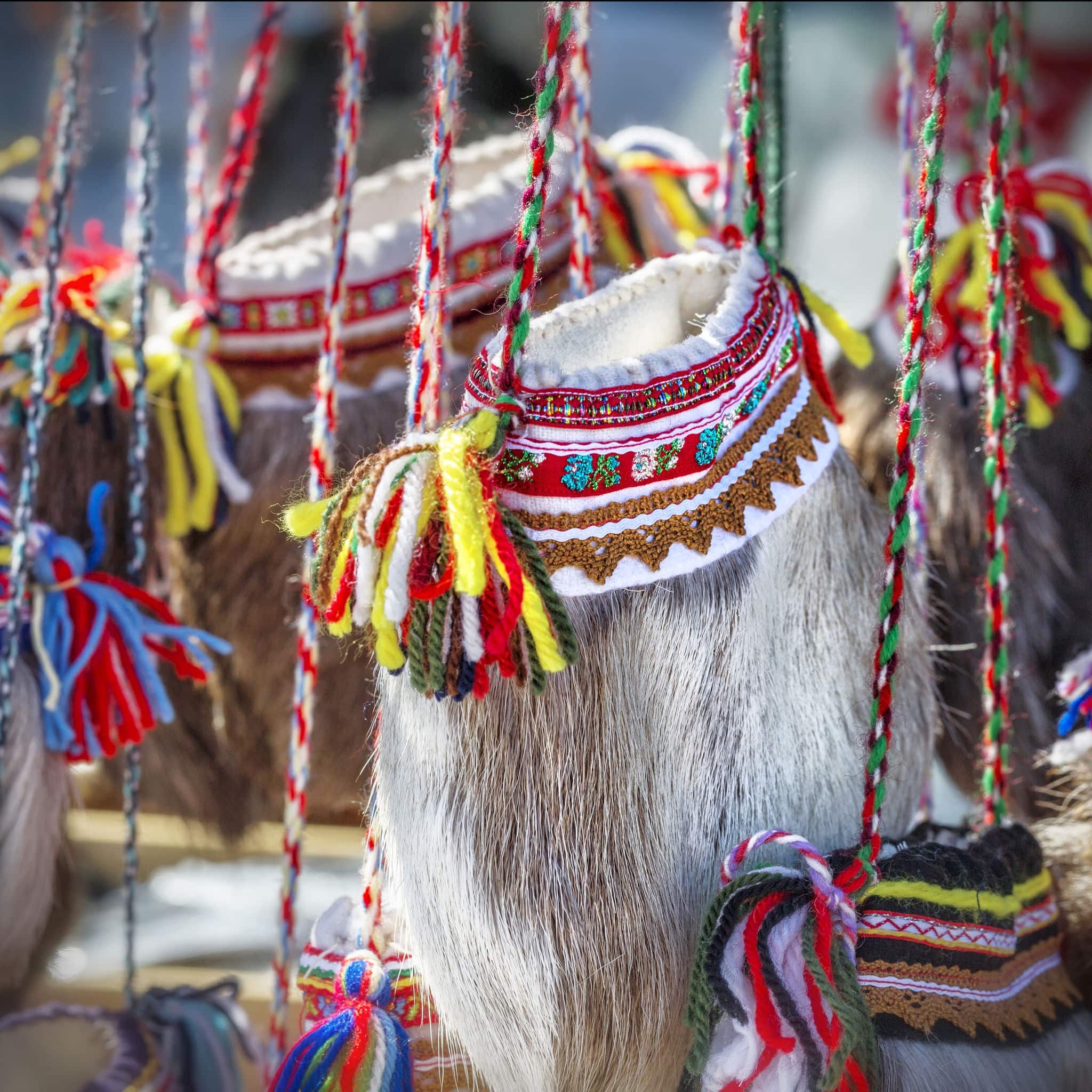 Traditional ethnographic sami bag made of deer fur. Norway.
