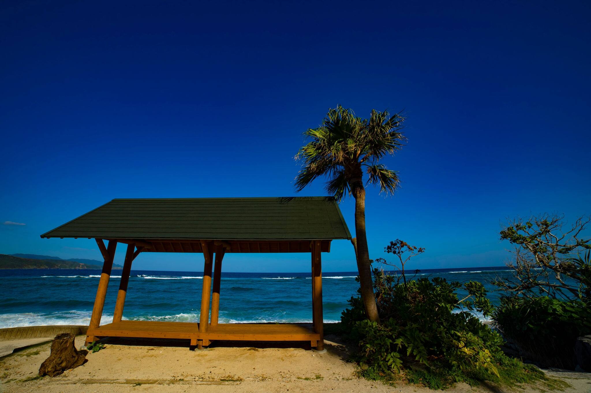 Palm tree and pavilion near the blue beach. Amami oshima district Naze Kagoshima Japan - 05.22.2019