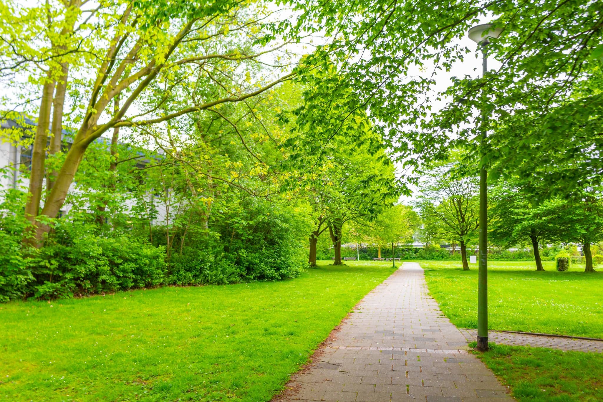 Natural beautiful panorama view on sunny day with walking path walkway trail road green plants trees in the forest of Leherheide Bremerhaven Germany.
