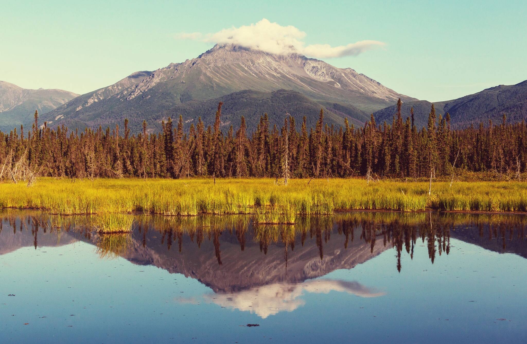 Mountains of Alaska in summer