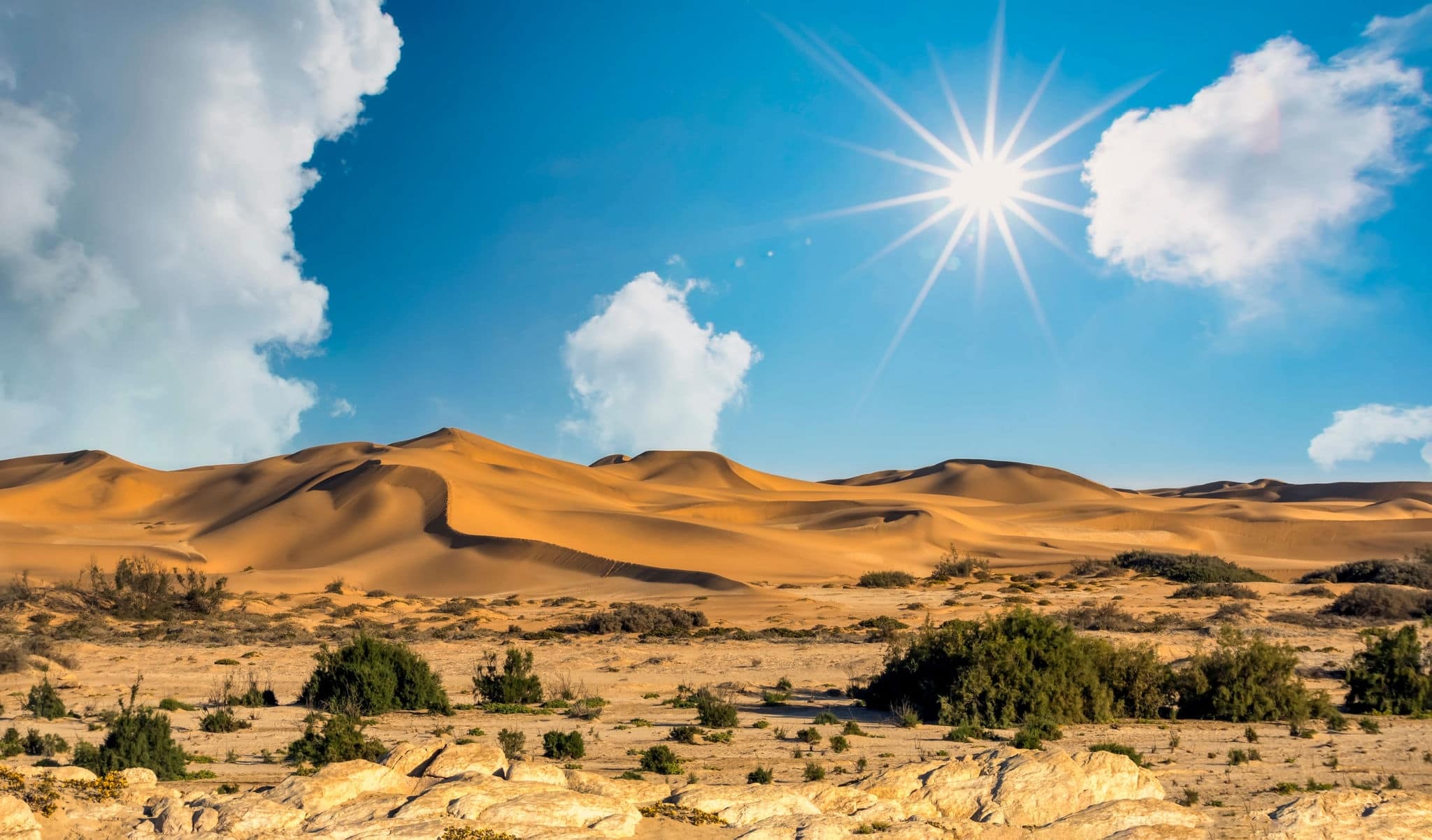 sand dunes in walvis bay in Namibia in a sunny day