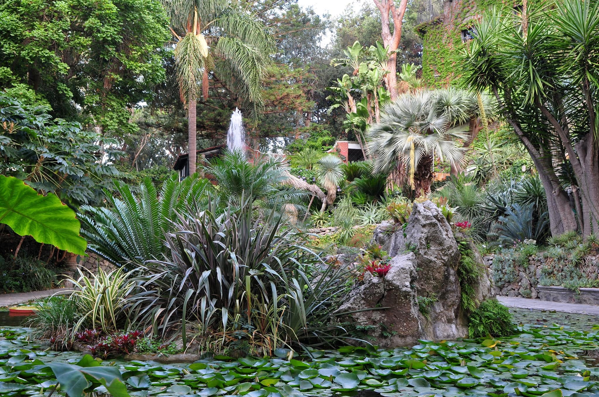 botanical garden La Mortella,Ischia,Italy