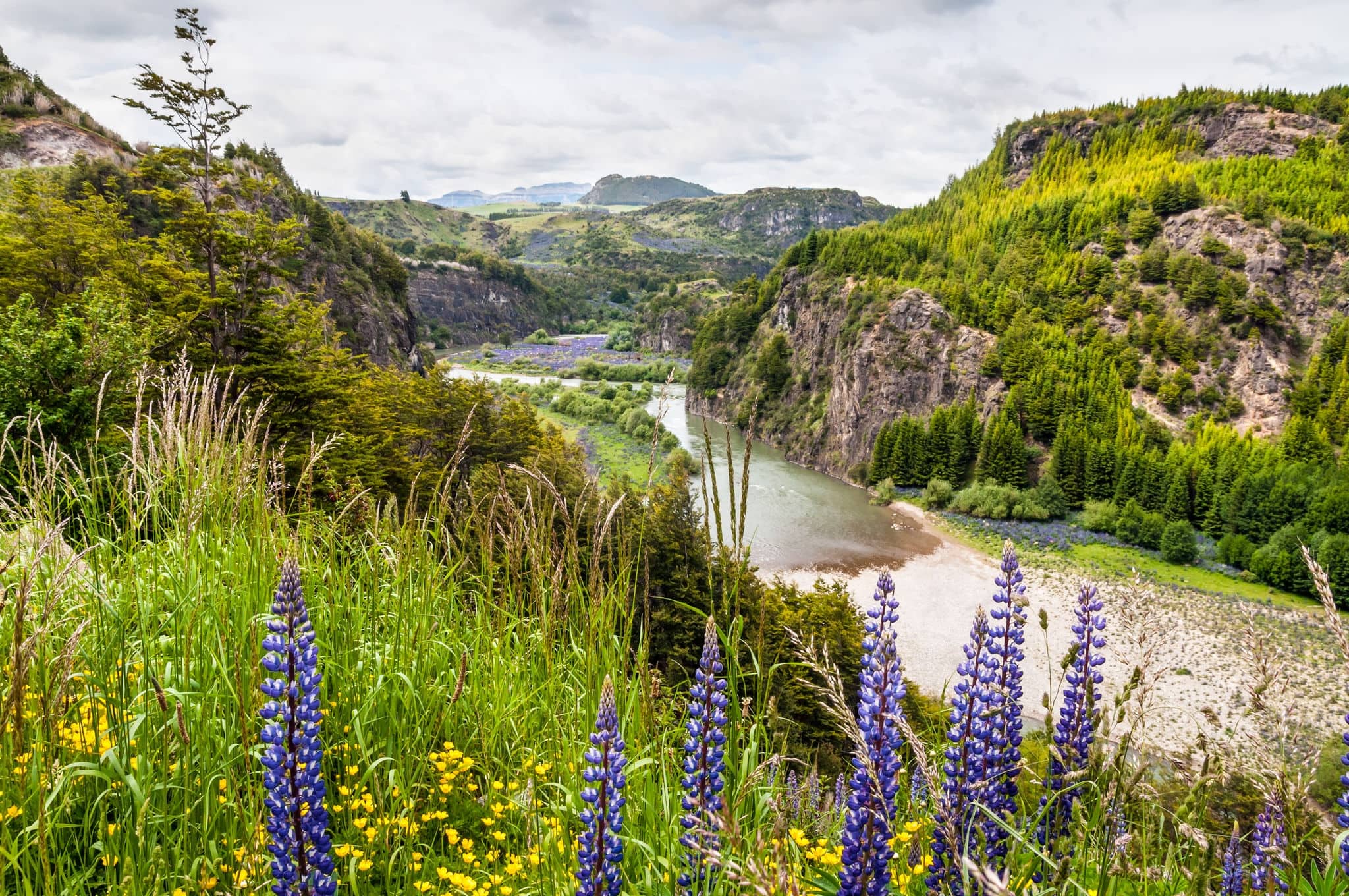 Simpson River Valley, Simpson River National Park, near Puerto Aisen and Coyhaique, Patagonia, Chile.