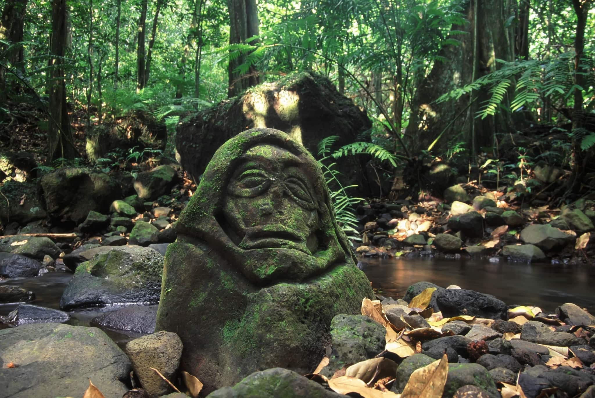 An ancient stone carving in the rainforest of Moorea - French Polynesia.