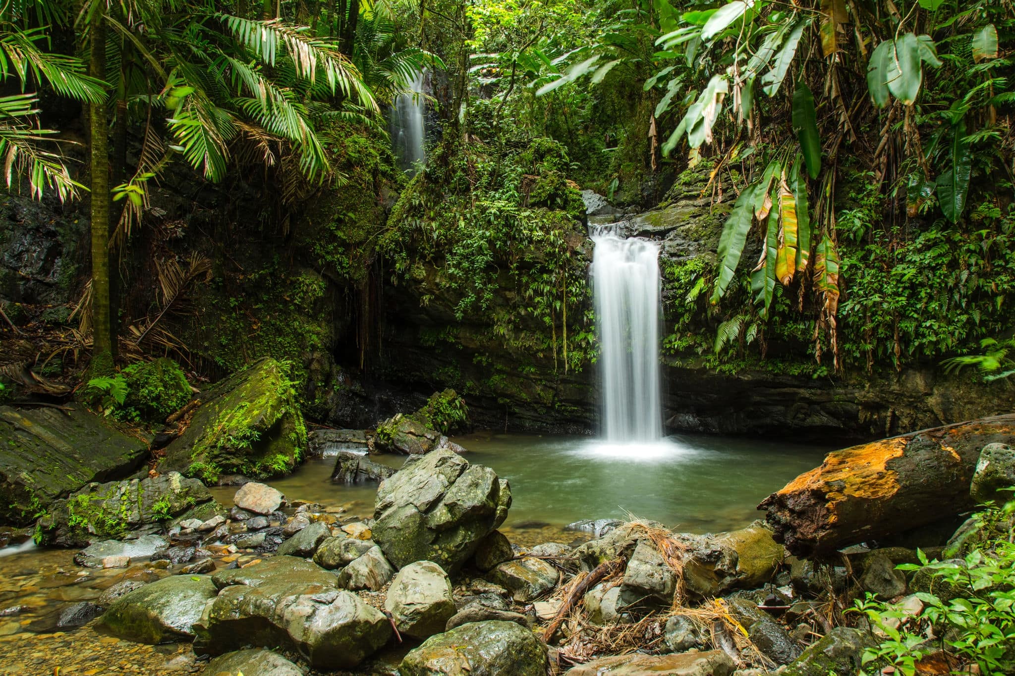 Juan Diego Falls El Yunque Puerto Rico