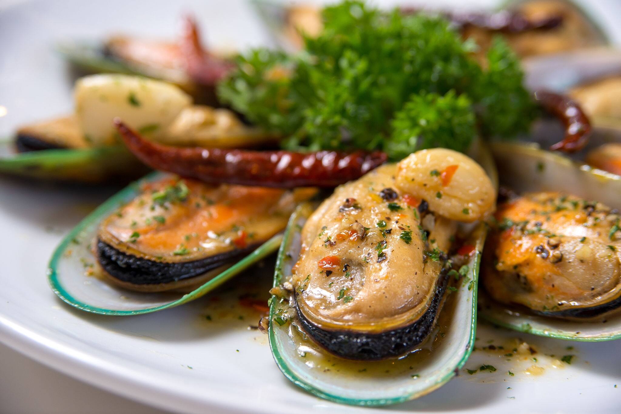 Spicy mussel