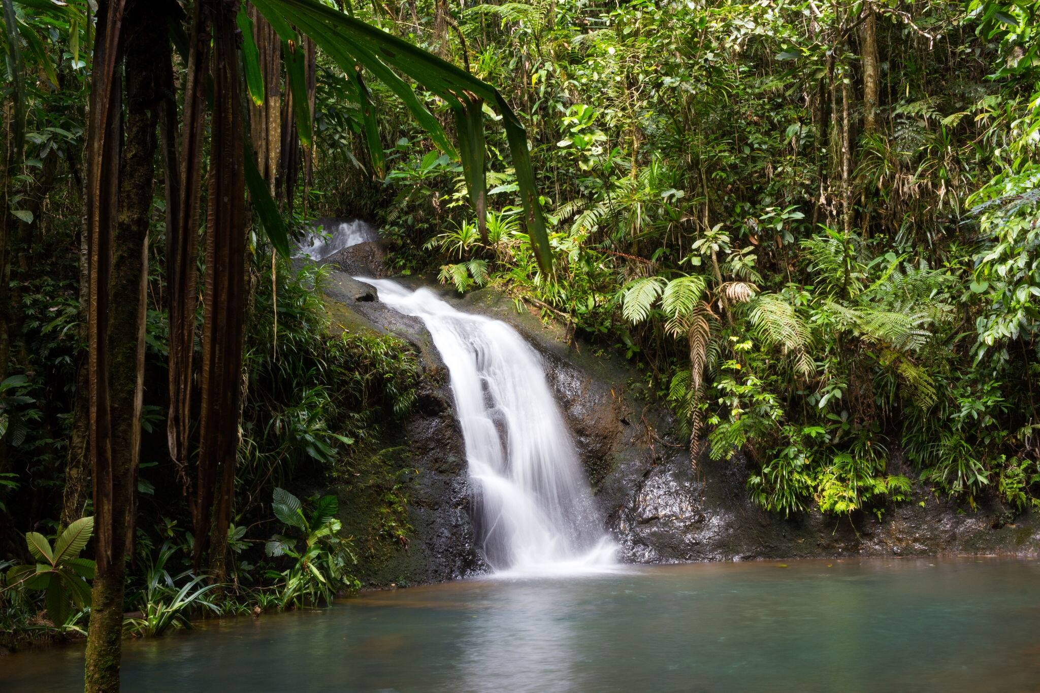 Waterfall Cascading into a Pool at Colo-i-Suva Forest Reserve