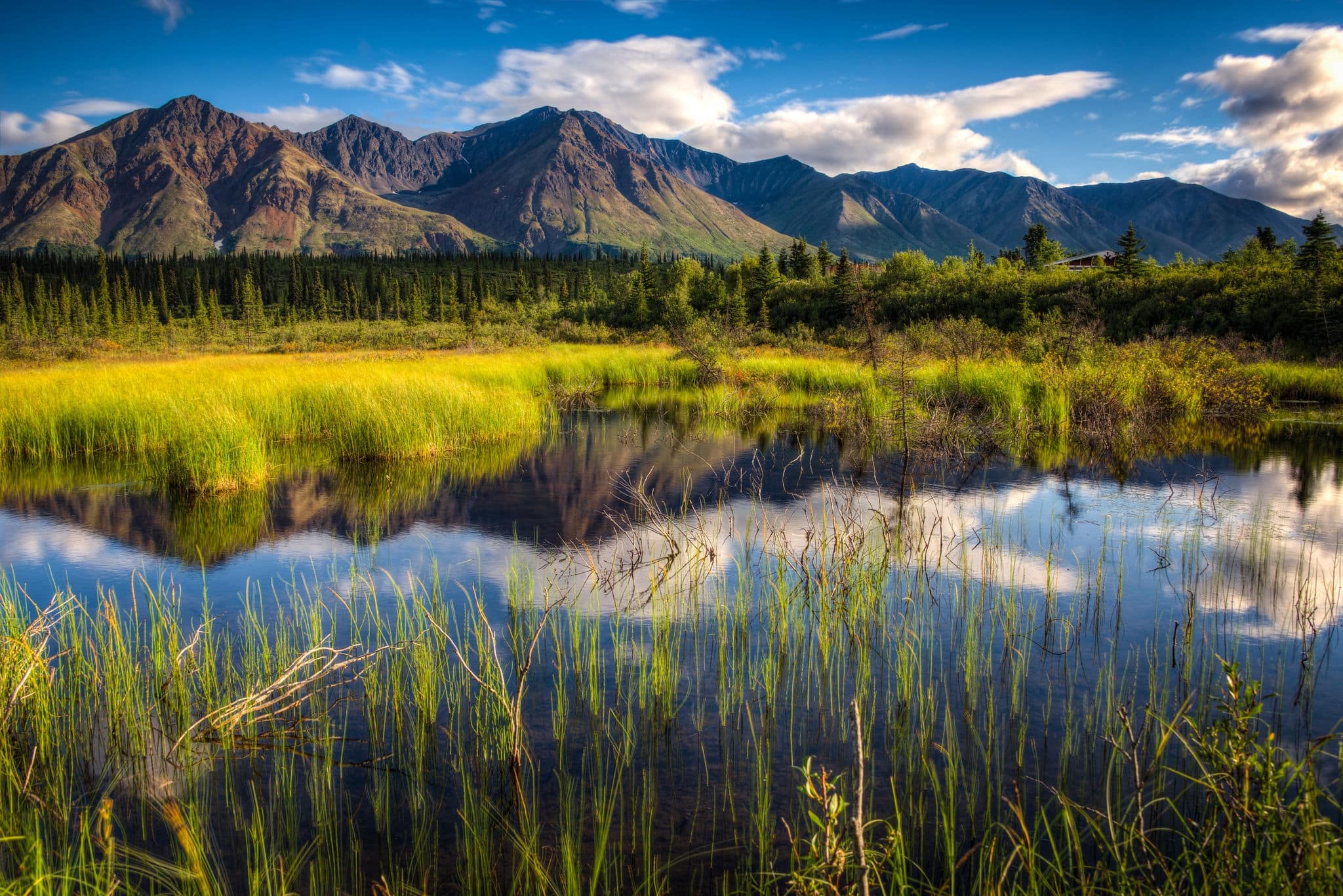 View of a mountain range in Denali National Park, Alaska with a reflection in a close lake on a bright summer day