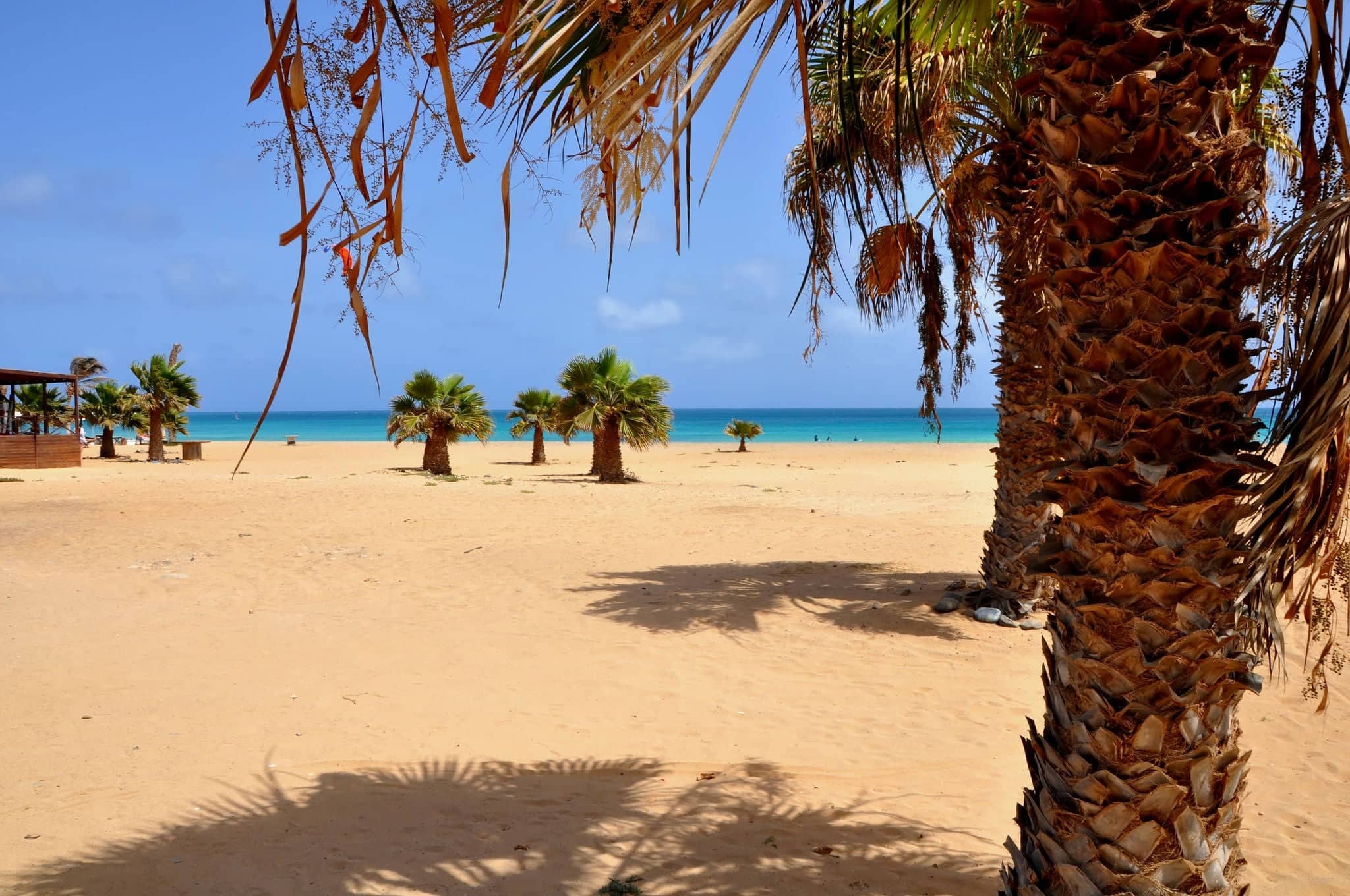 The beautiful beach of Santa Maria, Sal, Cape Verde