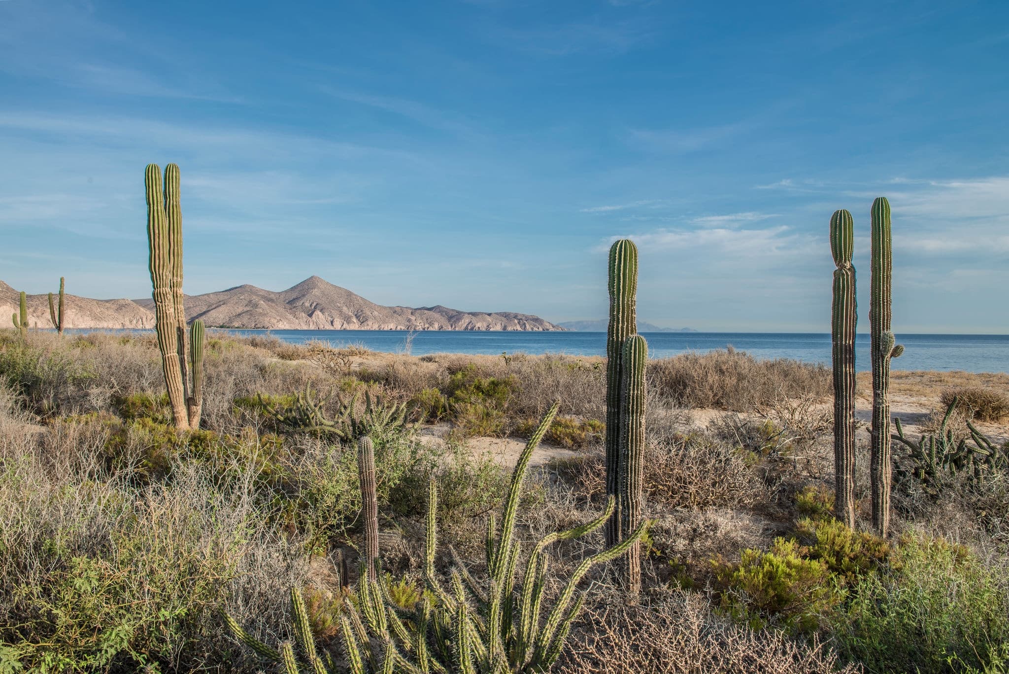 sea and desert, la paz baja california sur, sea of cortes Mexico.