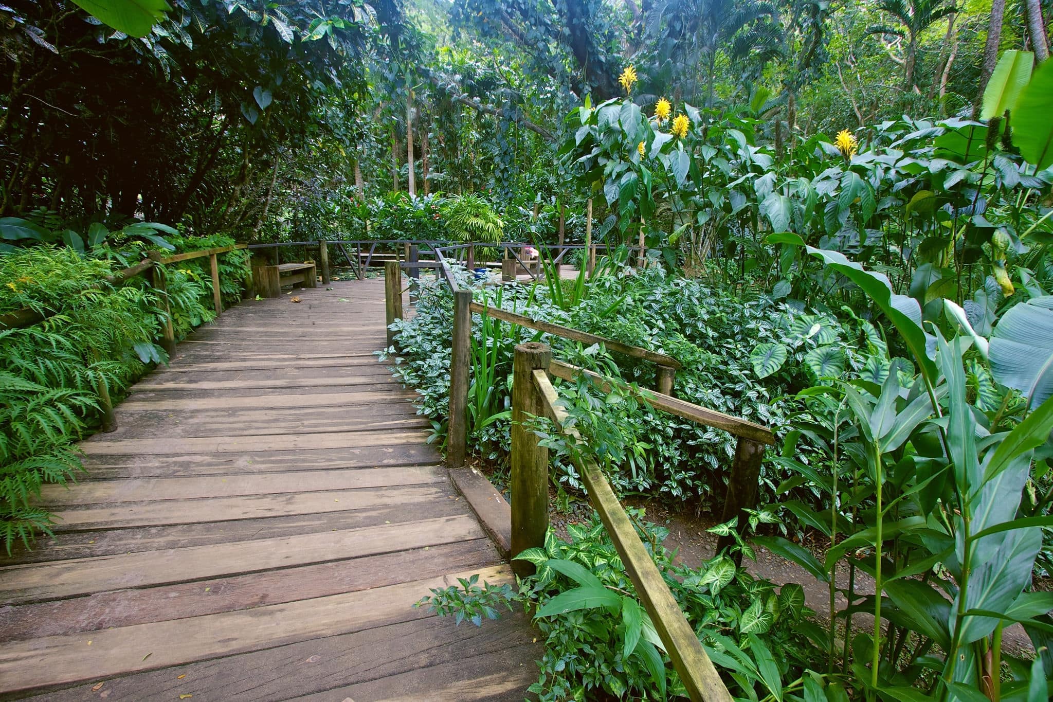Garden of the Sleeping Giant, Fiji