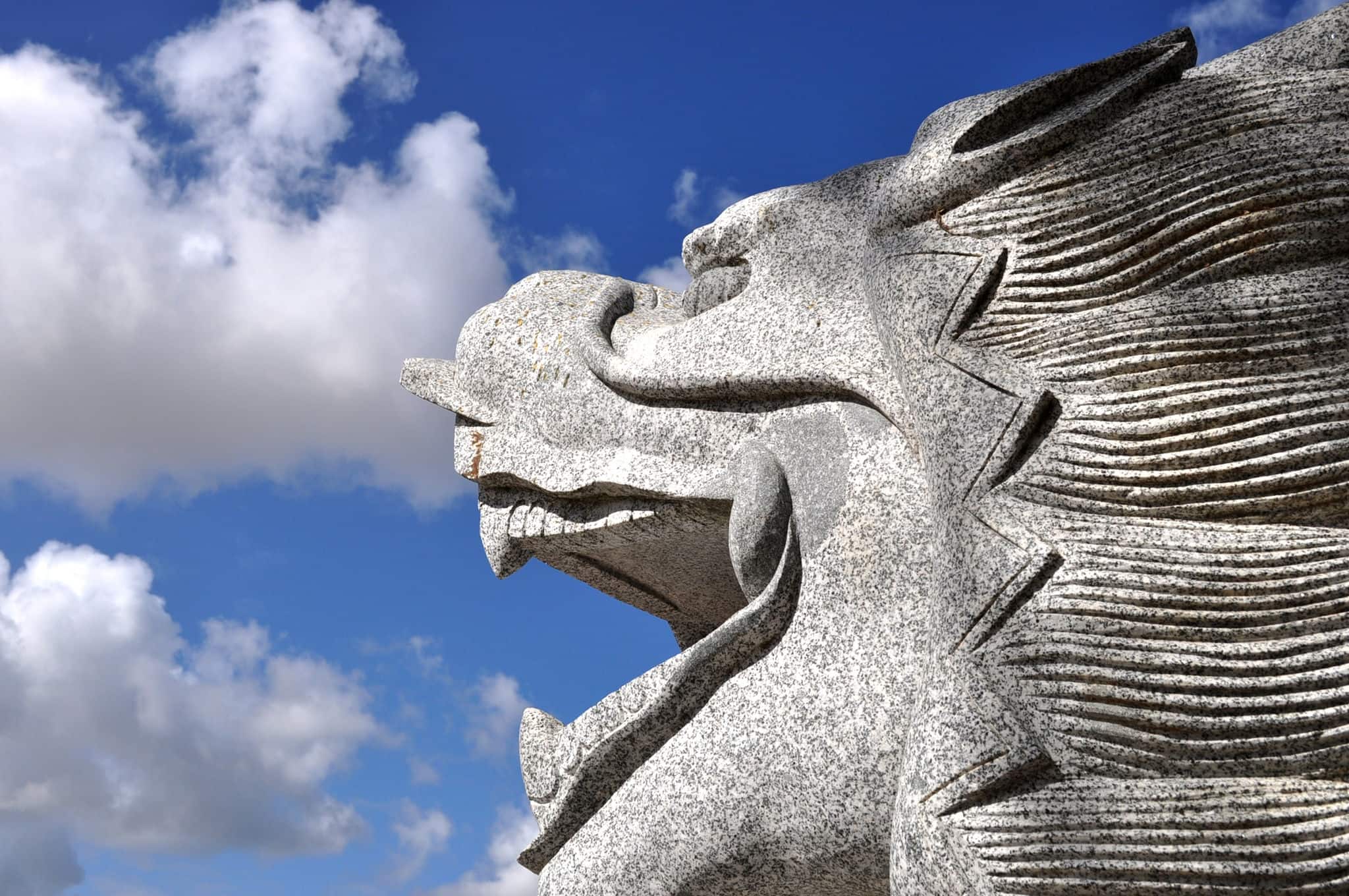 Traditional Chinese Dragon