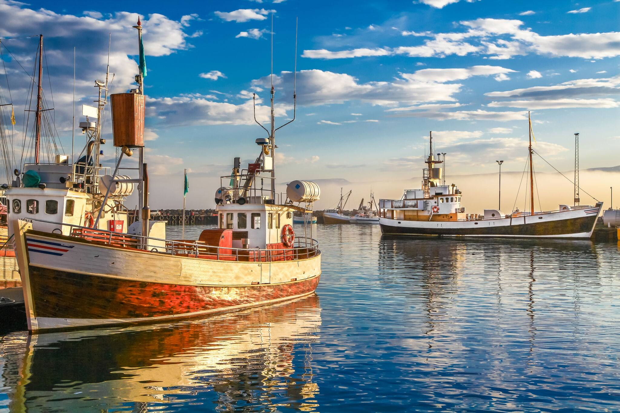 Panoramic view of traditional old wooden fisherman boats lying in harbor in beautiful golden evening light at sunset, town of Husavik, Skjalfandi Bay, Iceland, northern Europe