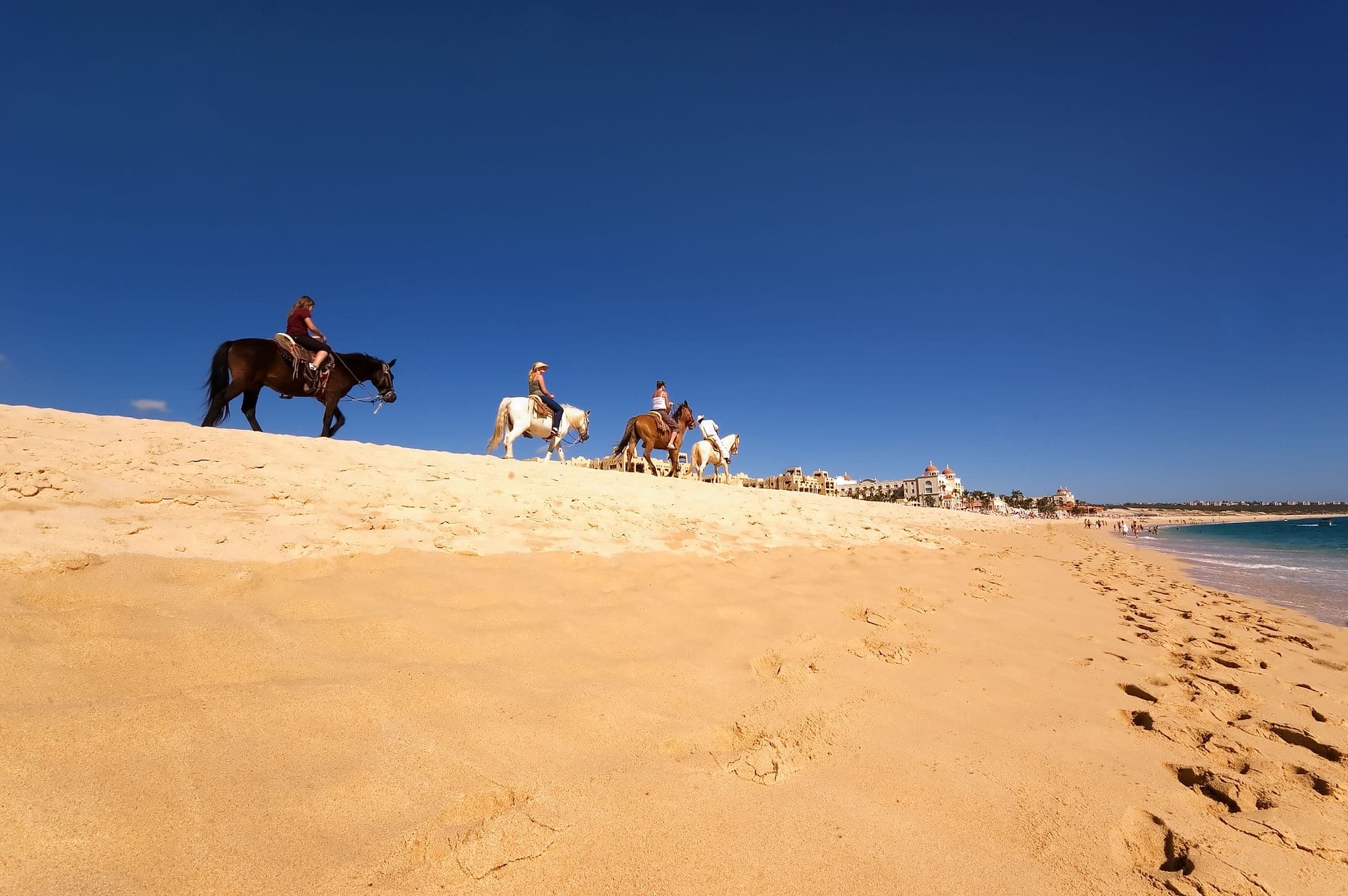 Horse riding along the beach in Los Cabos