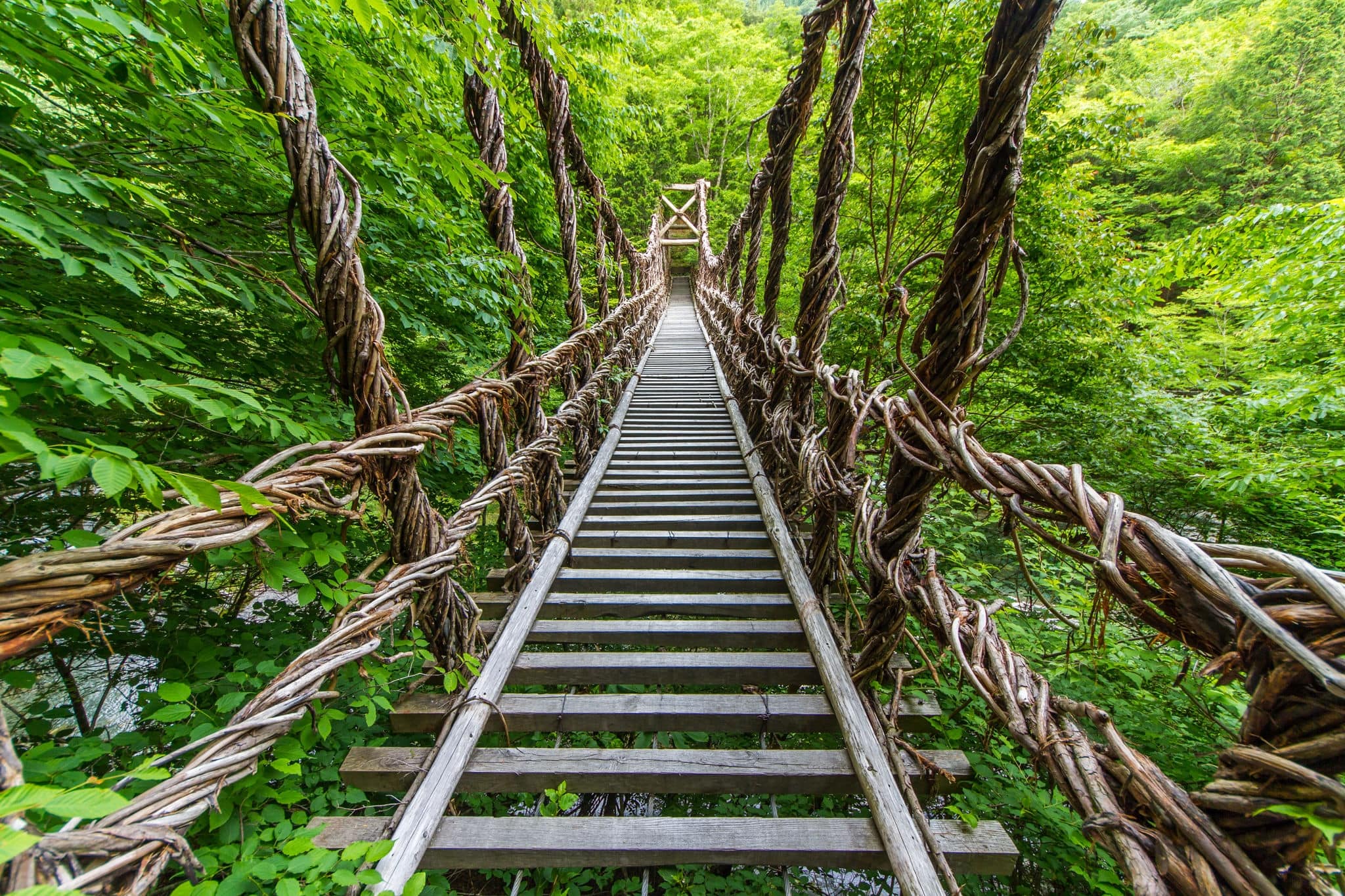 Oku iya double kazura bridge in Tokushima Japan