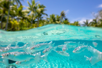 Grand Turk, Turks & Caicos Islands