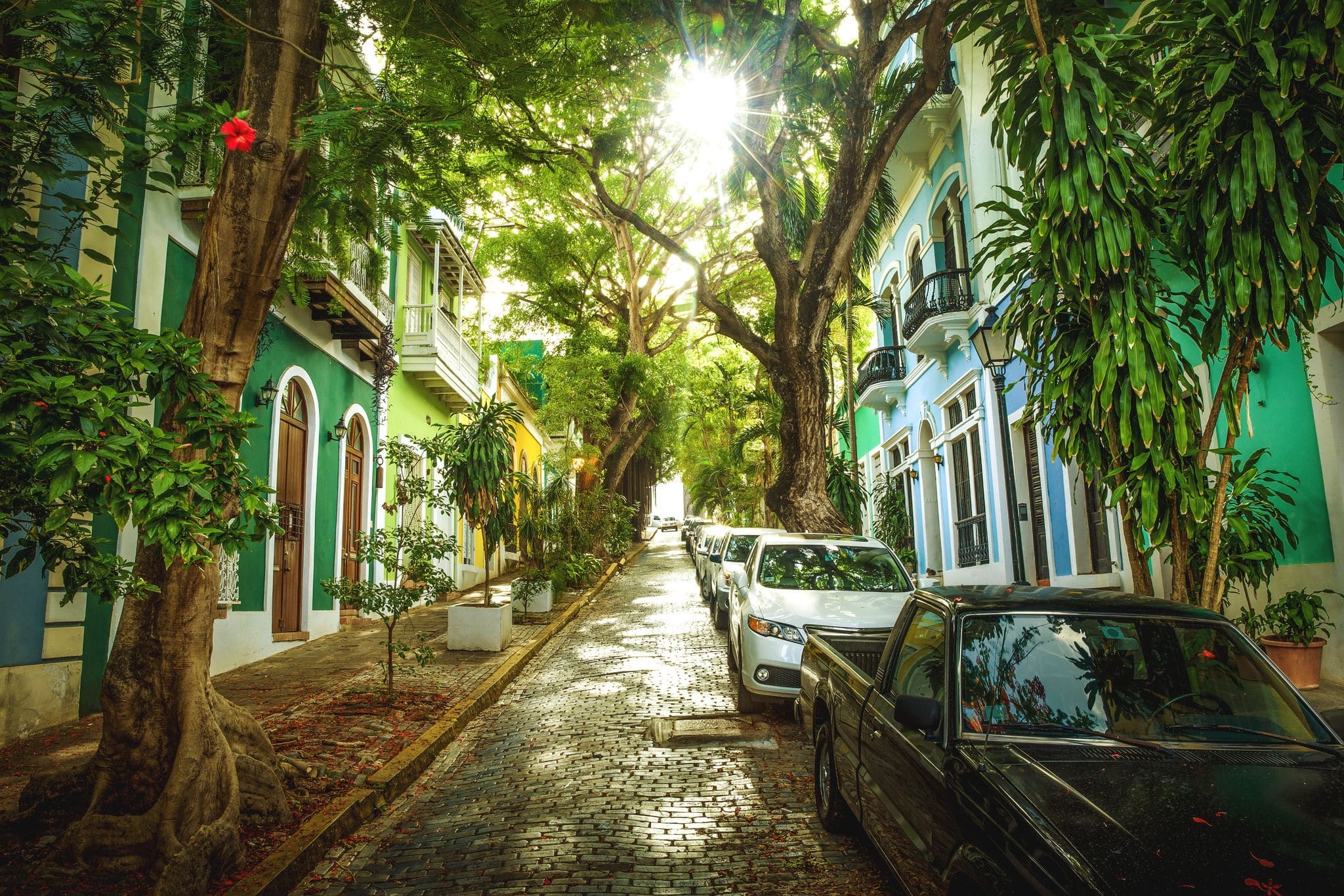 Beautiful street full of trees in old San Juan, Puerto Rico