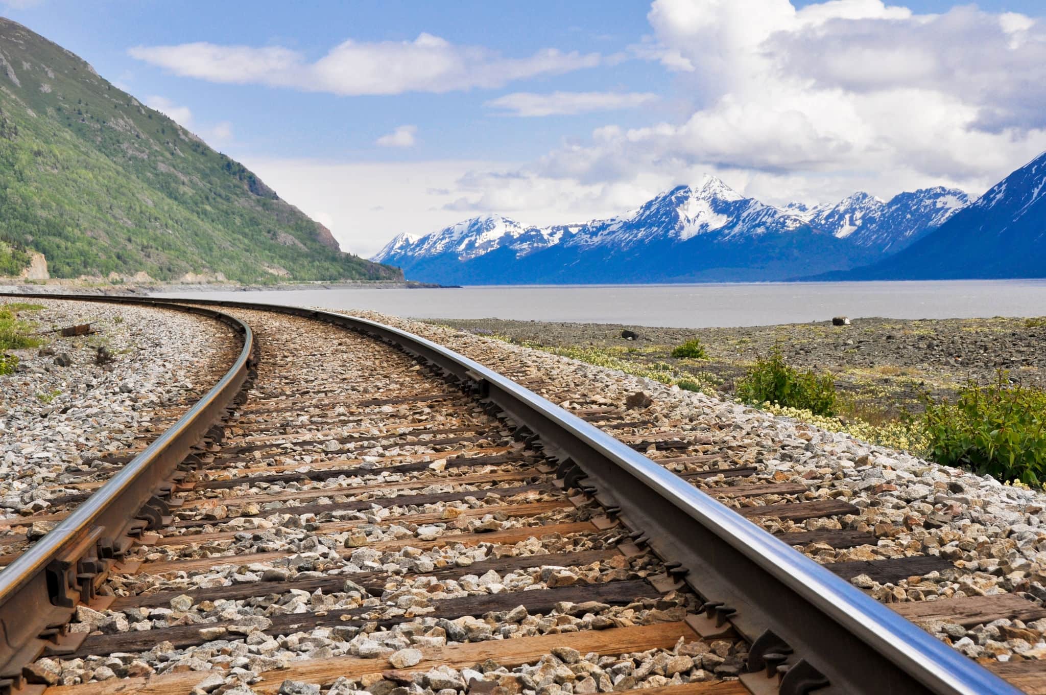 Railroad tracks running through Alaskan landscape