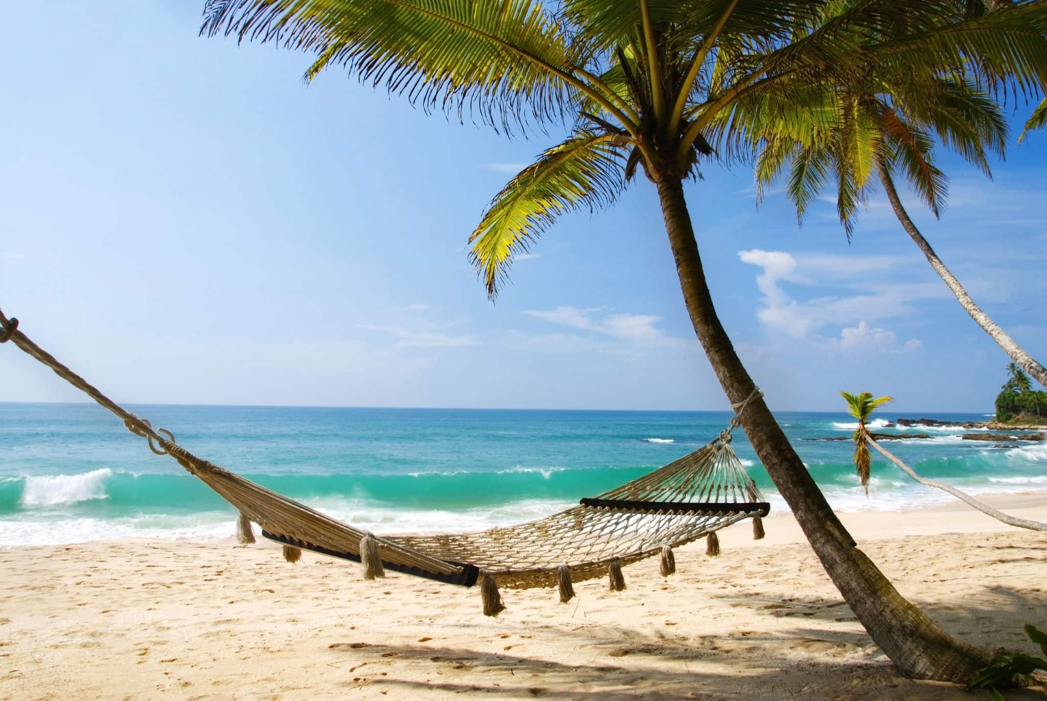 Romantic cozy hammock in the shadow of the palm on the tropical beach by the sea