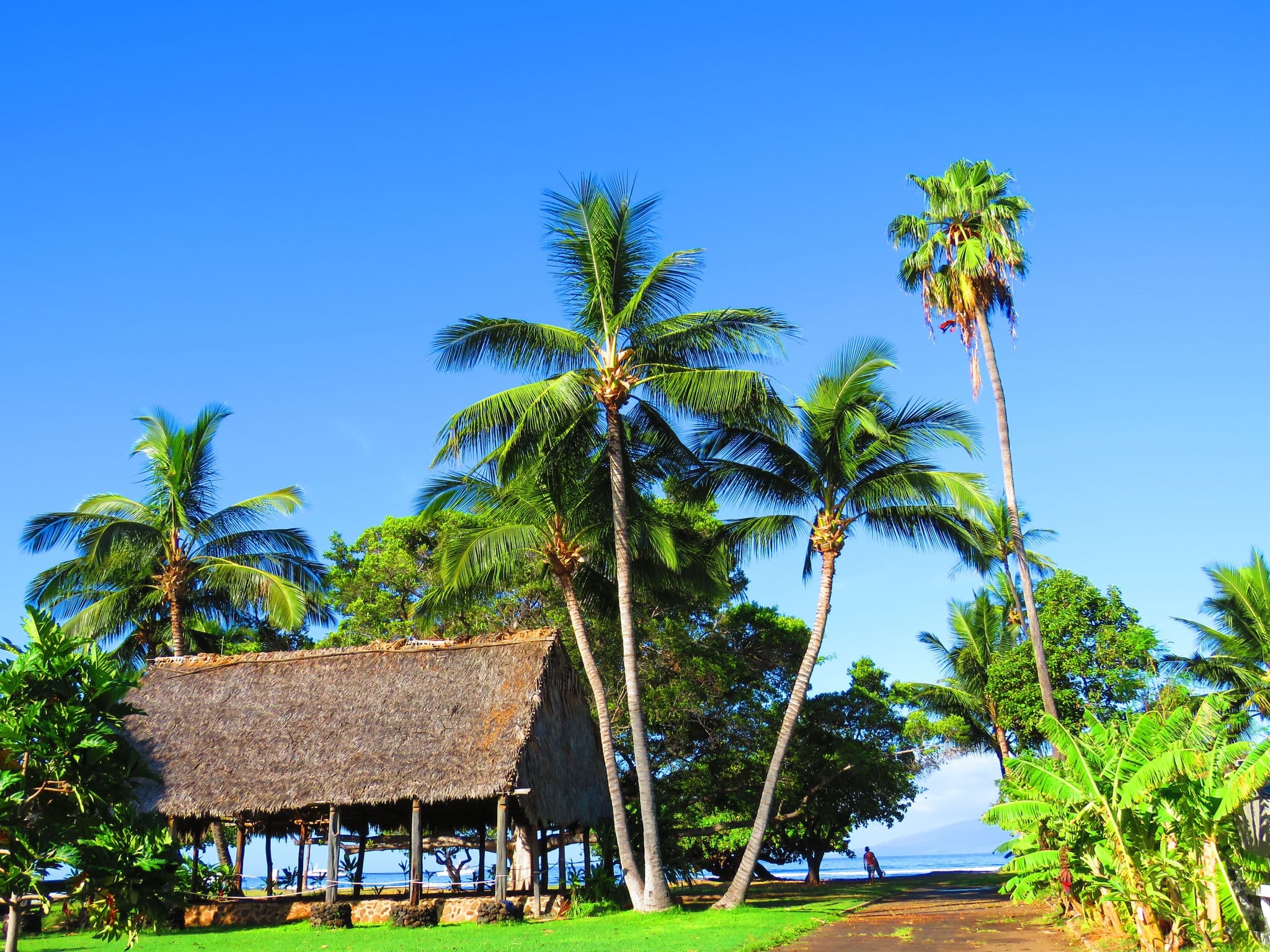 Kamehameha Iki Park in Lahaina
