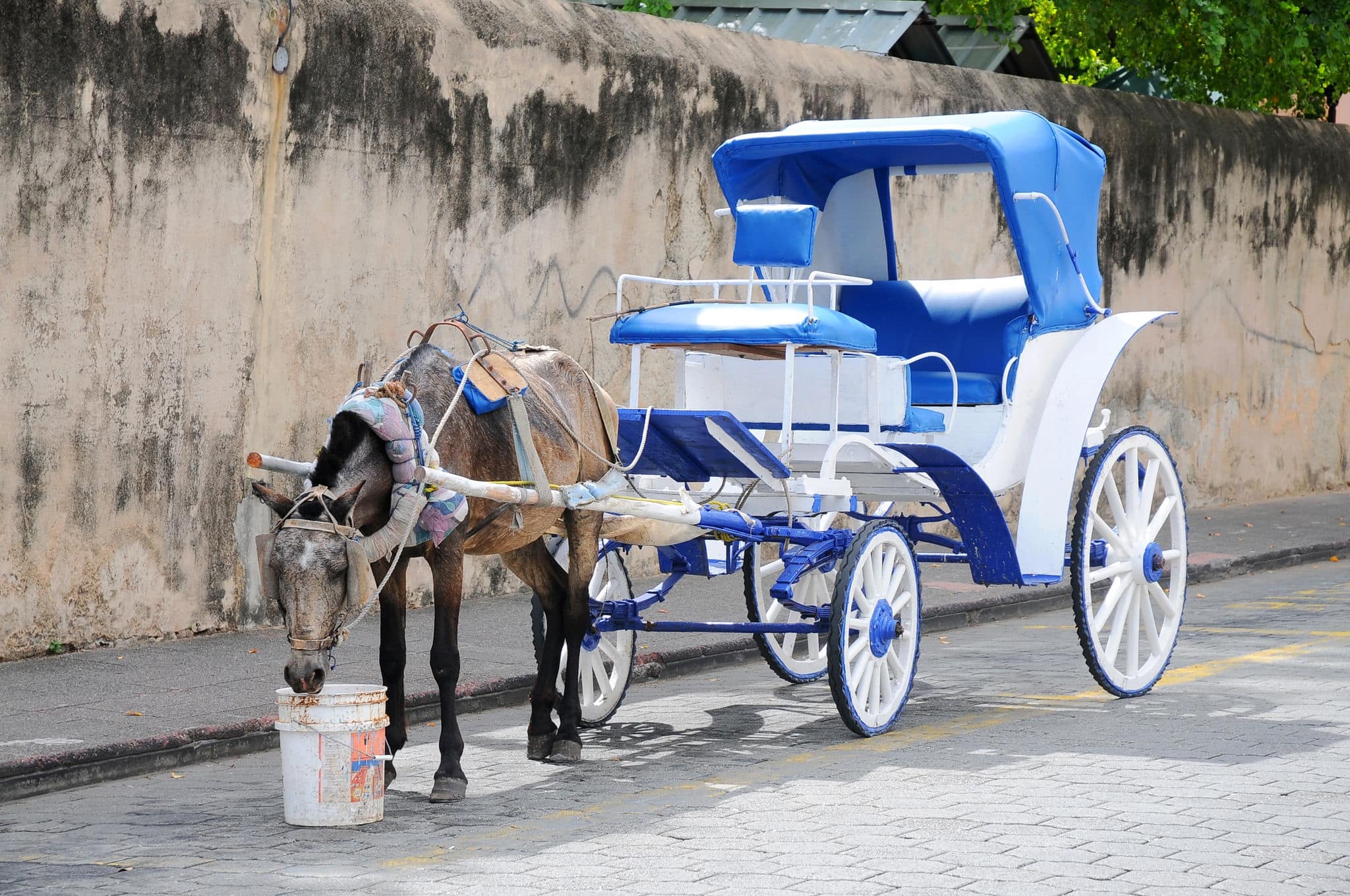 Traditional Horse-drawn carriages waiting for tourists in Santo Domingo, Dominican Republic