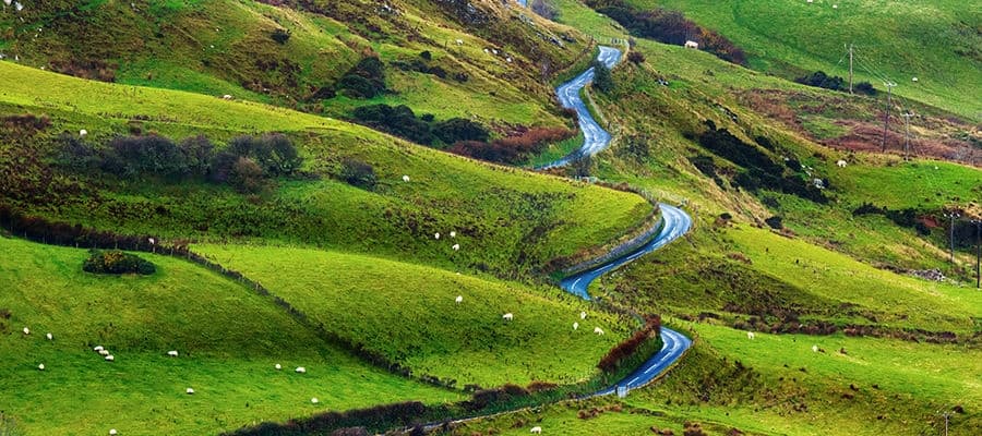 A winding road amongst a green landscape in Ireland.