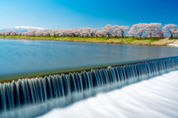 Sendai (Ishinomaki), Japan