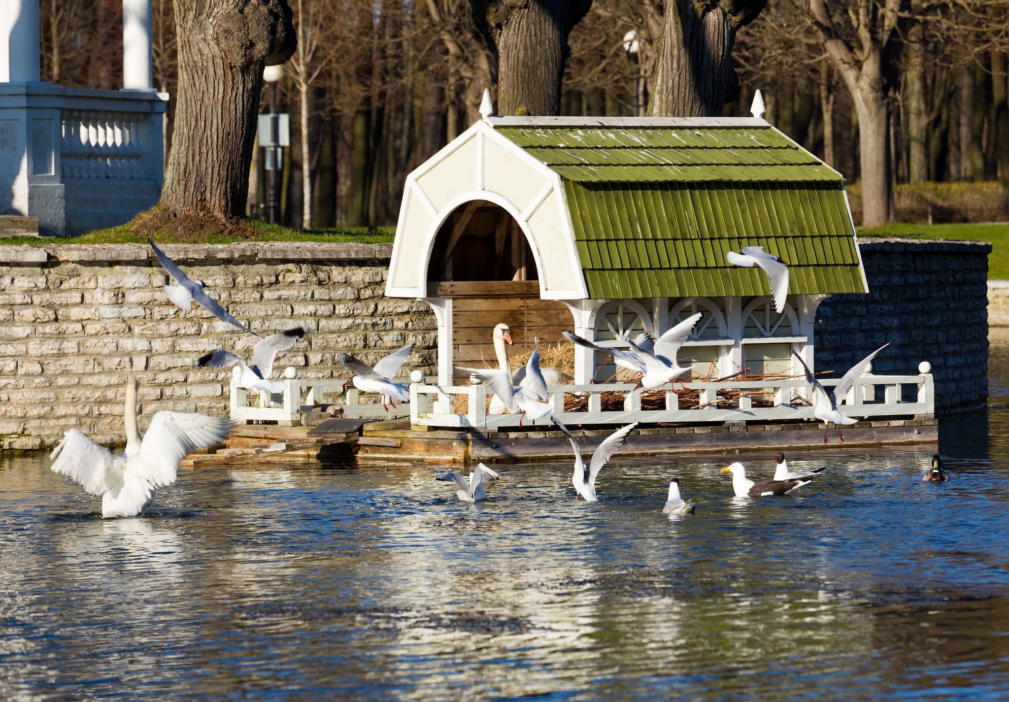 Ornate Swan house and nest in the ornamental pond in Kadriorg gardens by the palace in Tallinn Estonia