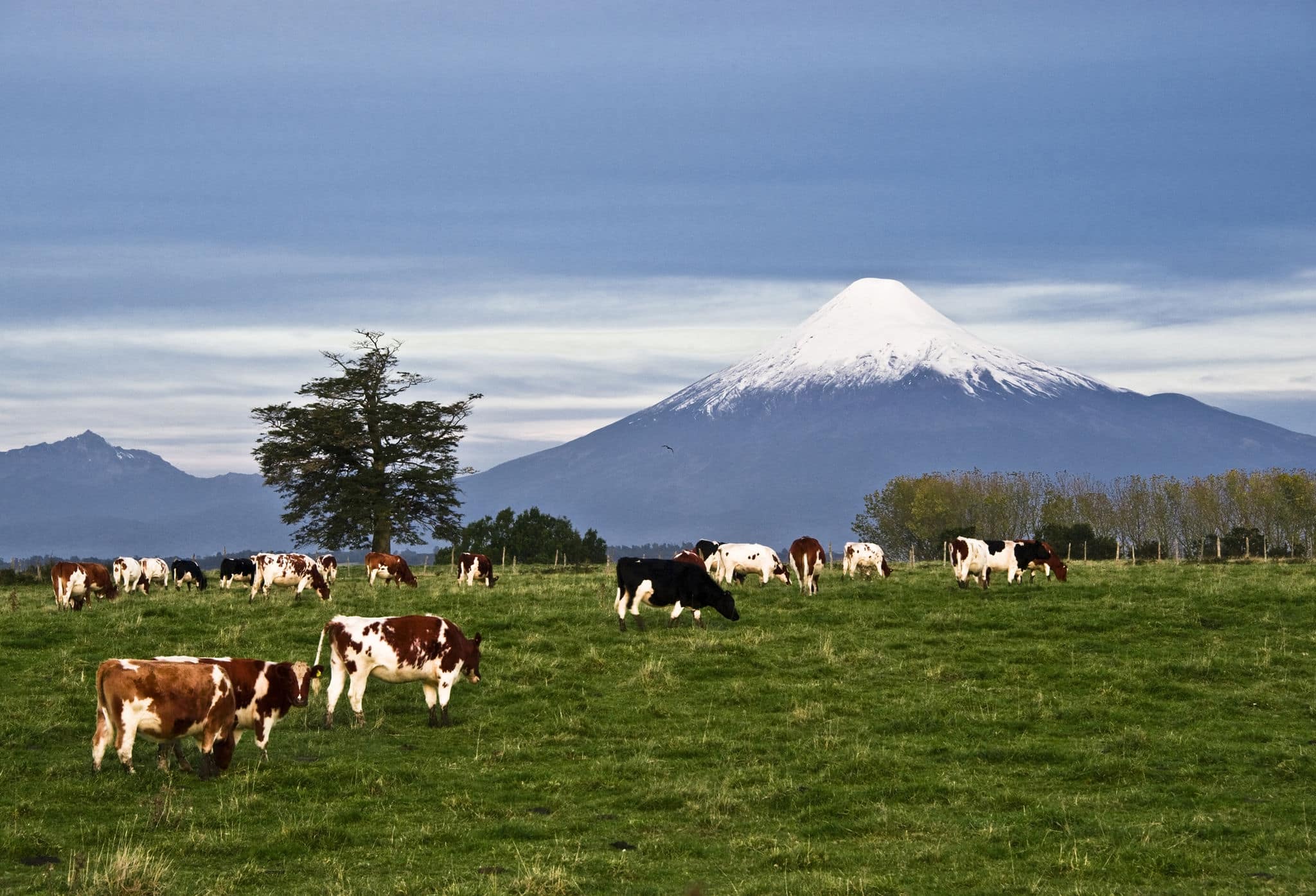 Idyllic landscape of Osorno Volcano, Lake Region, Chile