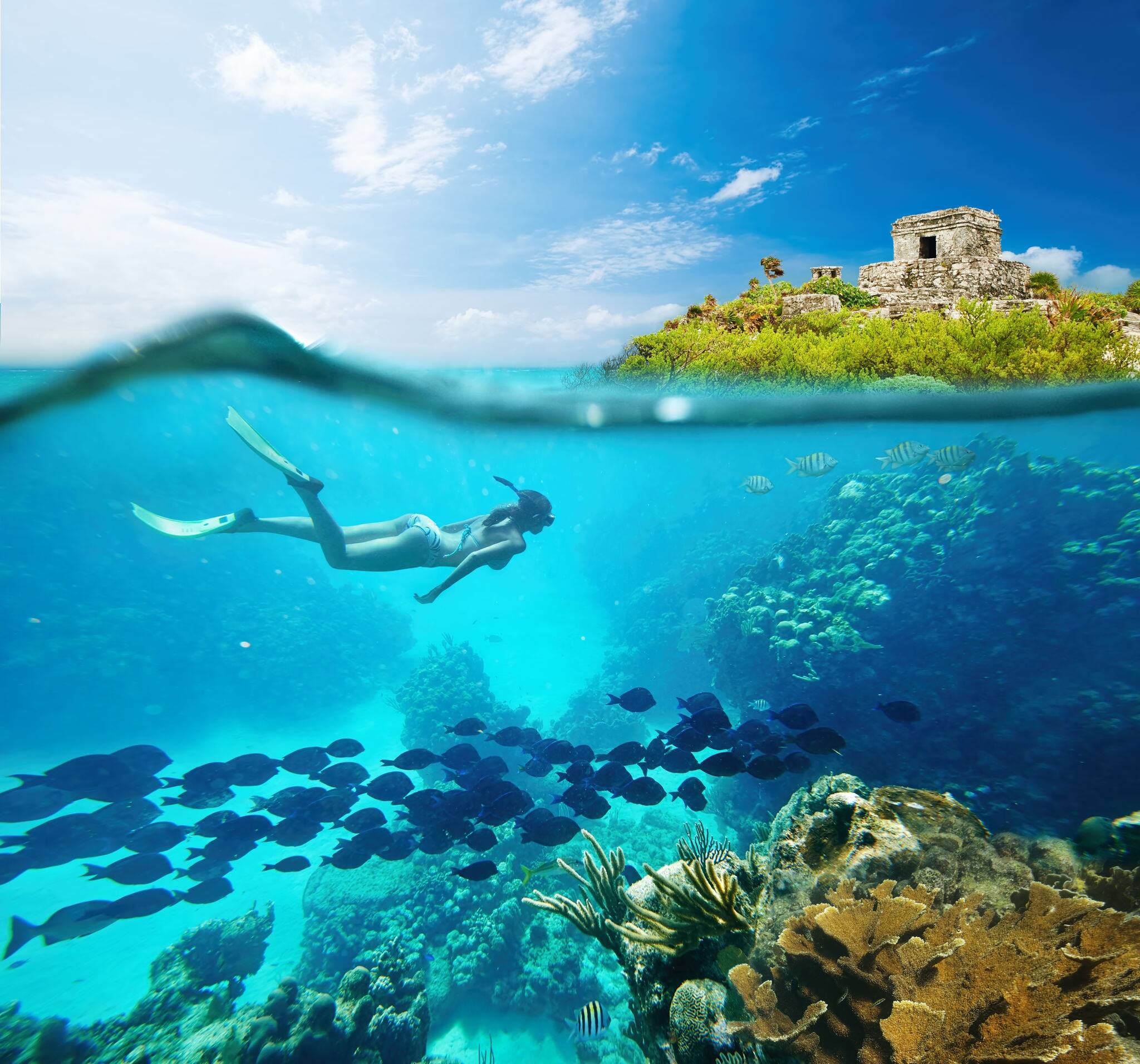 Beautiful coral reef Caribbean sea with lots of fish and a woman on the background of the ancient Mayan city of Tulum. Mexico