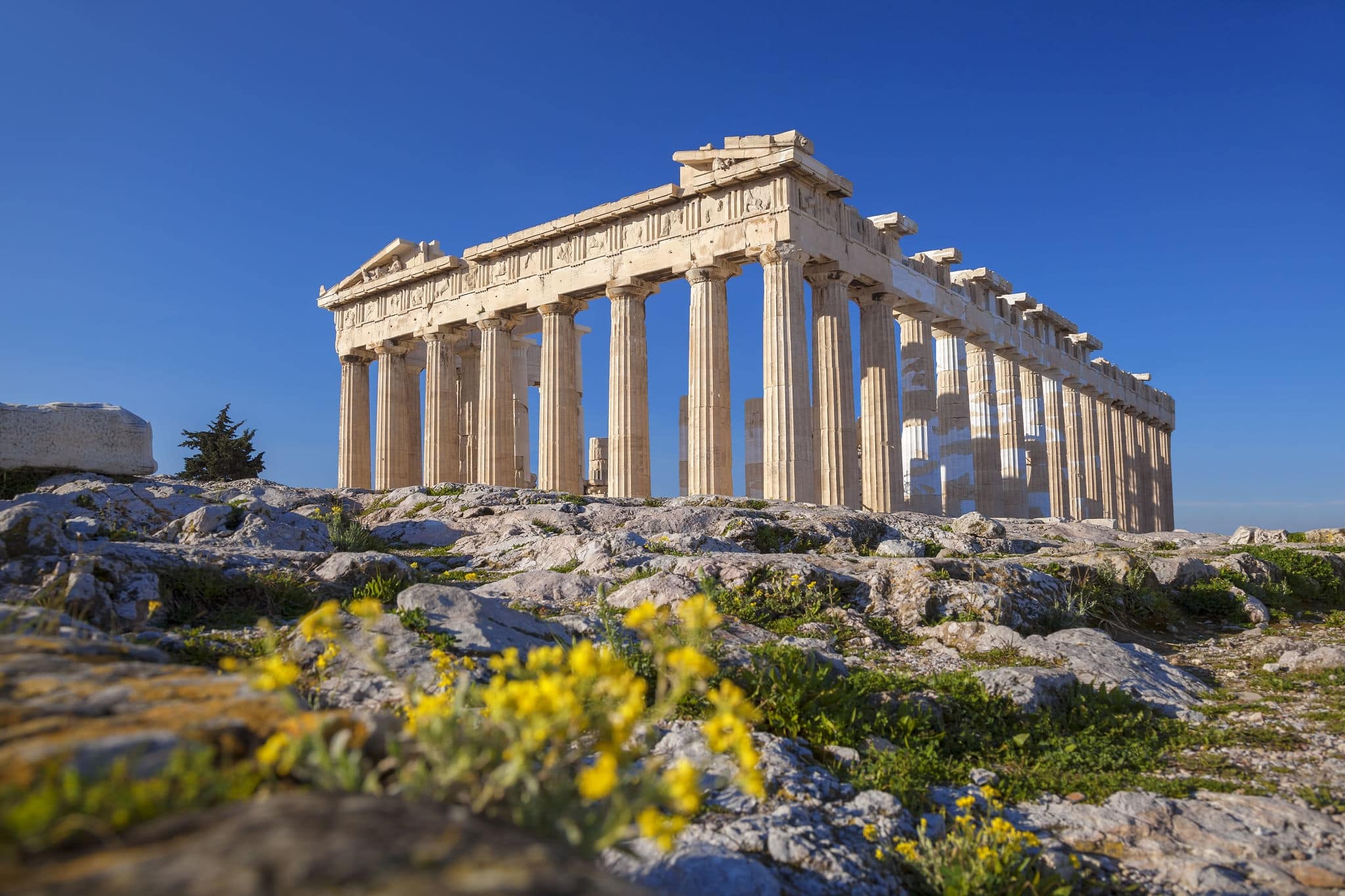 Parthenon temple with spring flowers on the  Acropolis in Athens, Greece