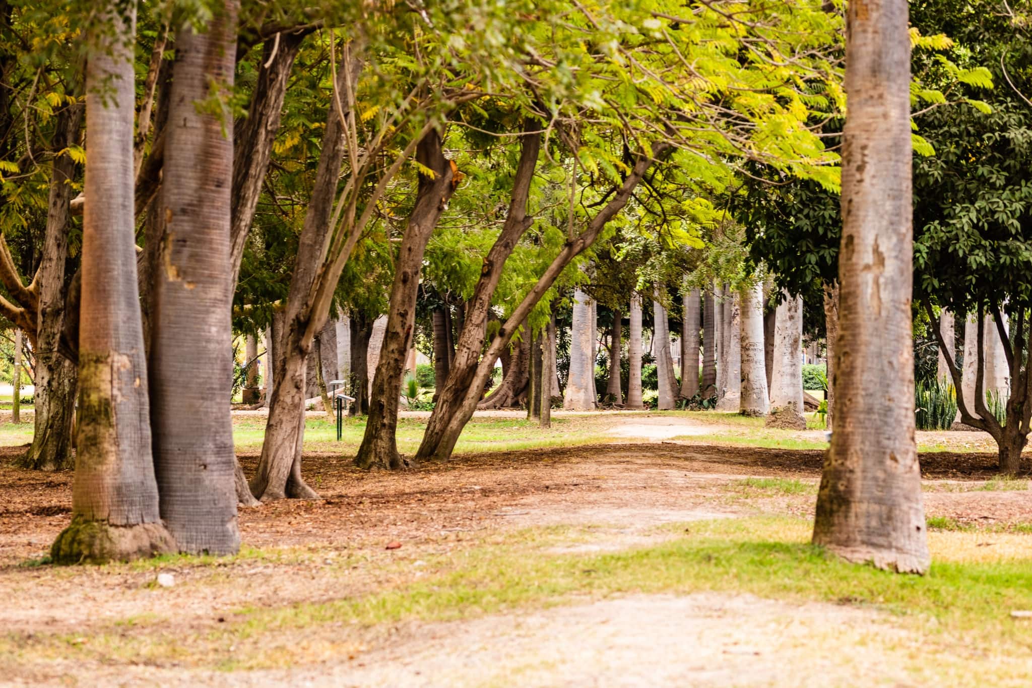 Colonial city of Topolobampo, Mexico.