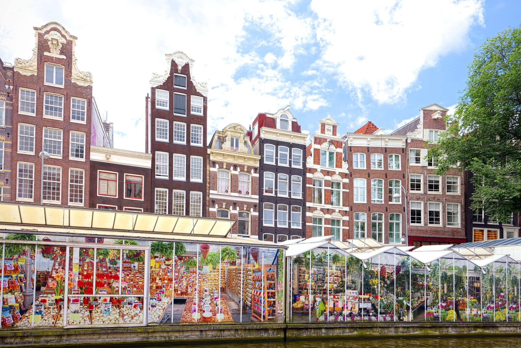 Flower market in Amsterdam (Bloemenmarkt), wide angle