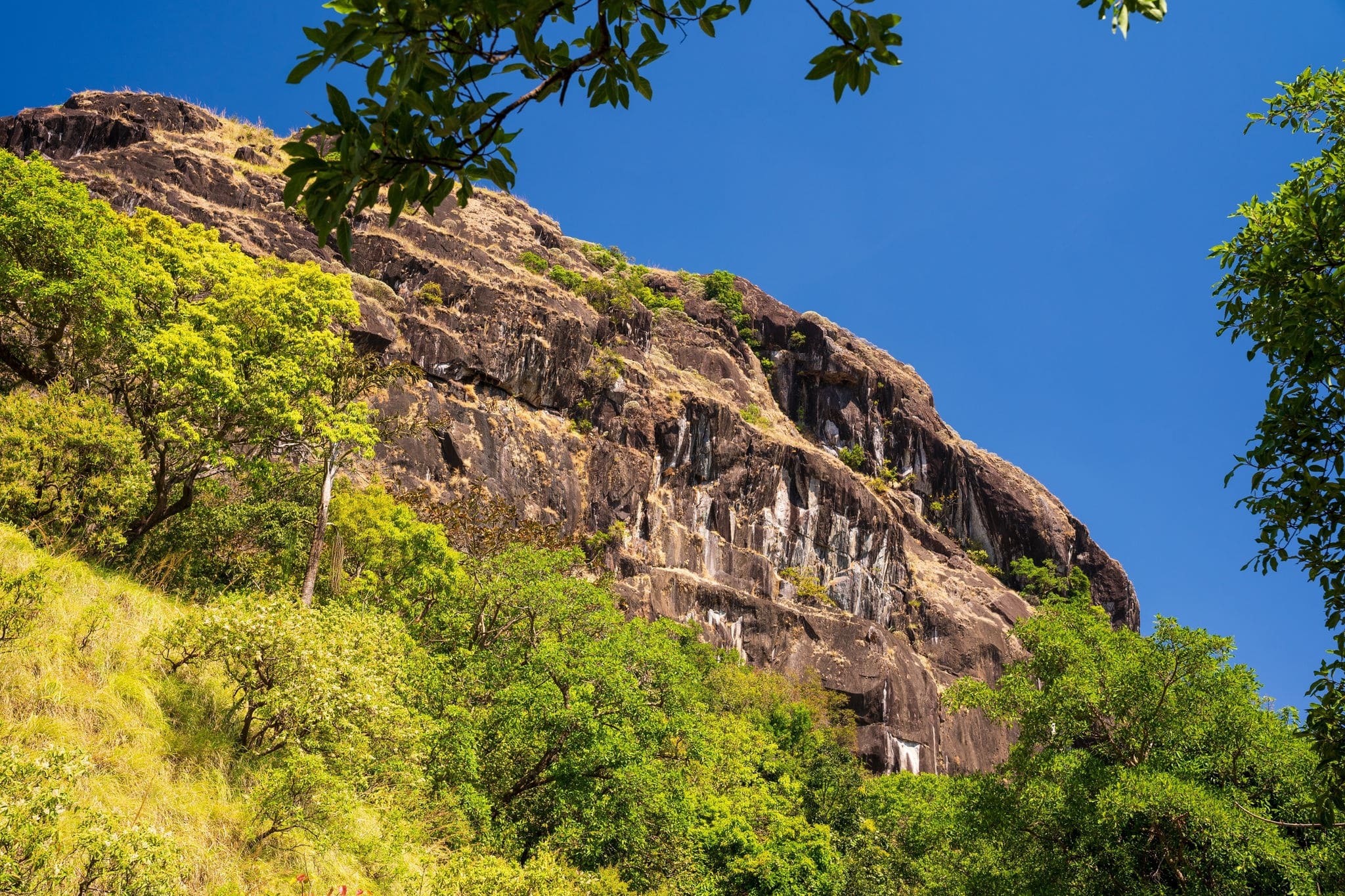 Charmady Ghat is a mountain pass in the Western Ghats range in the kadur to mangalore Road of Karnataka, India