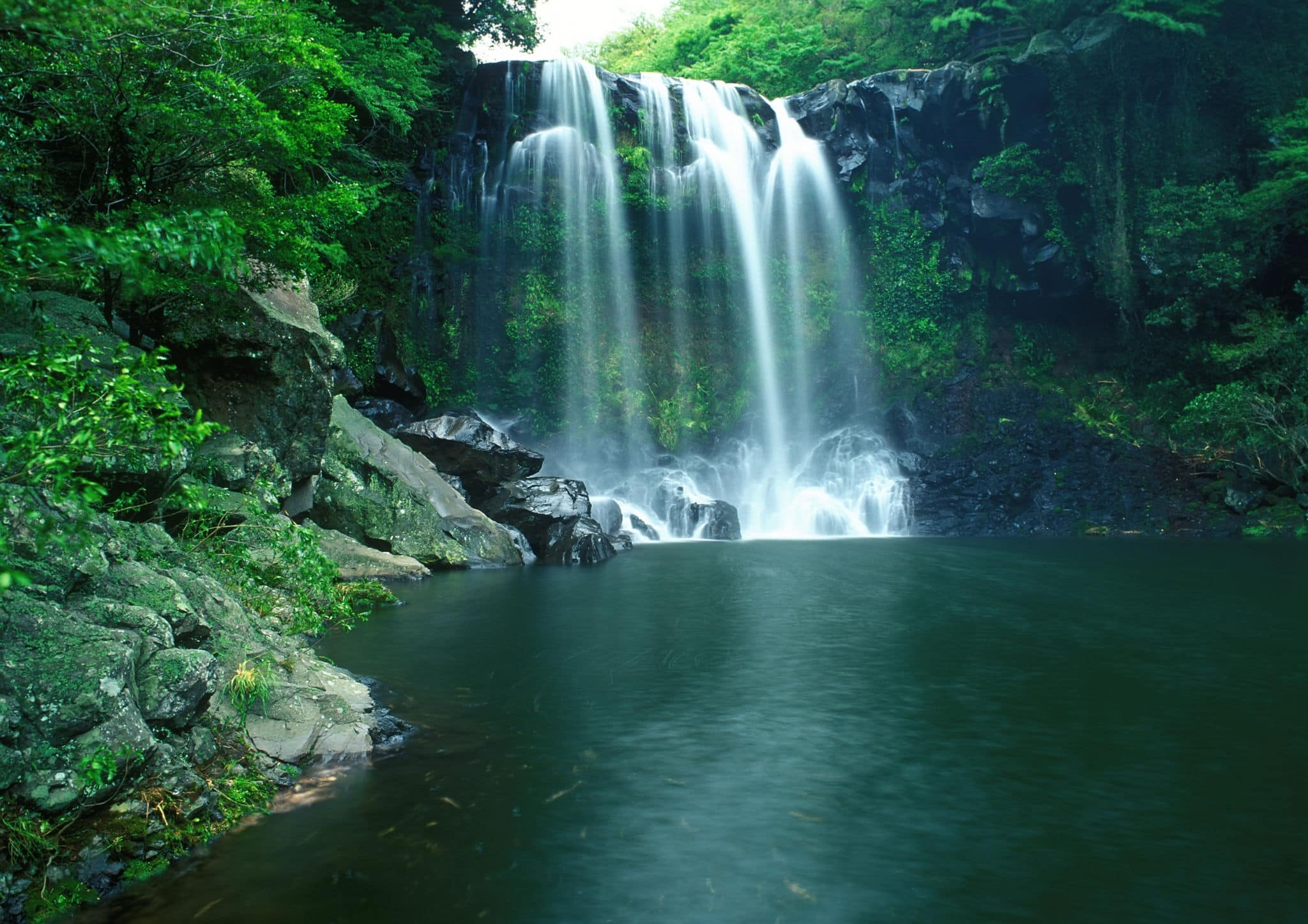 Famous Chunjeyun Waterfall of Jeju island in South Korea.