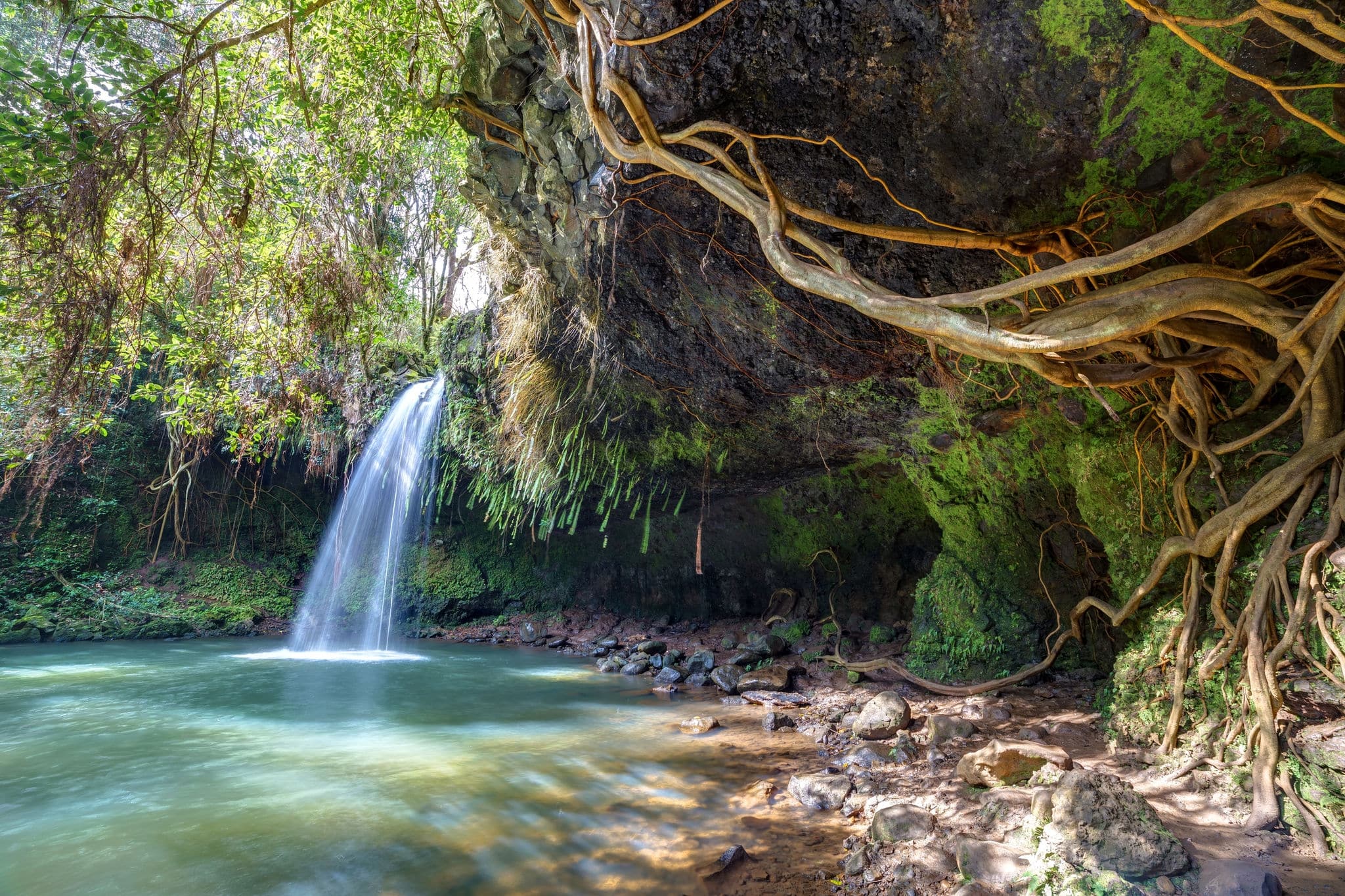 Twin falls wilderness, lush tropical waterfall on the island of maui, Hawaii