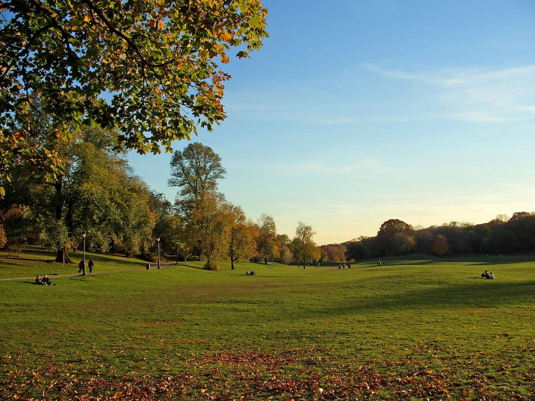 People relaxing in Prospect Park, Brooklyn, New York