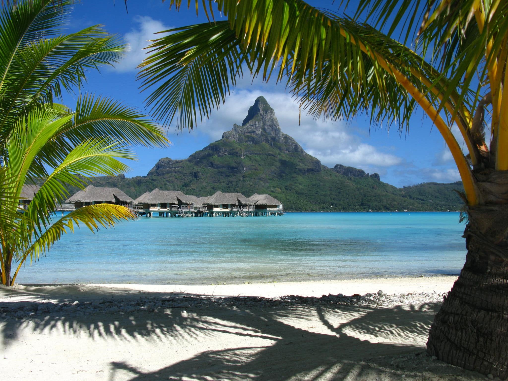 Under palm trees in Bora Bora