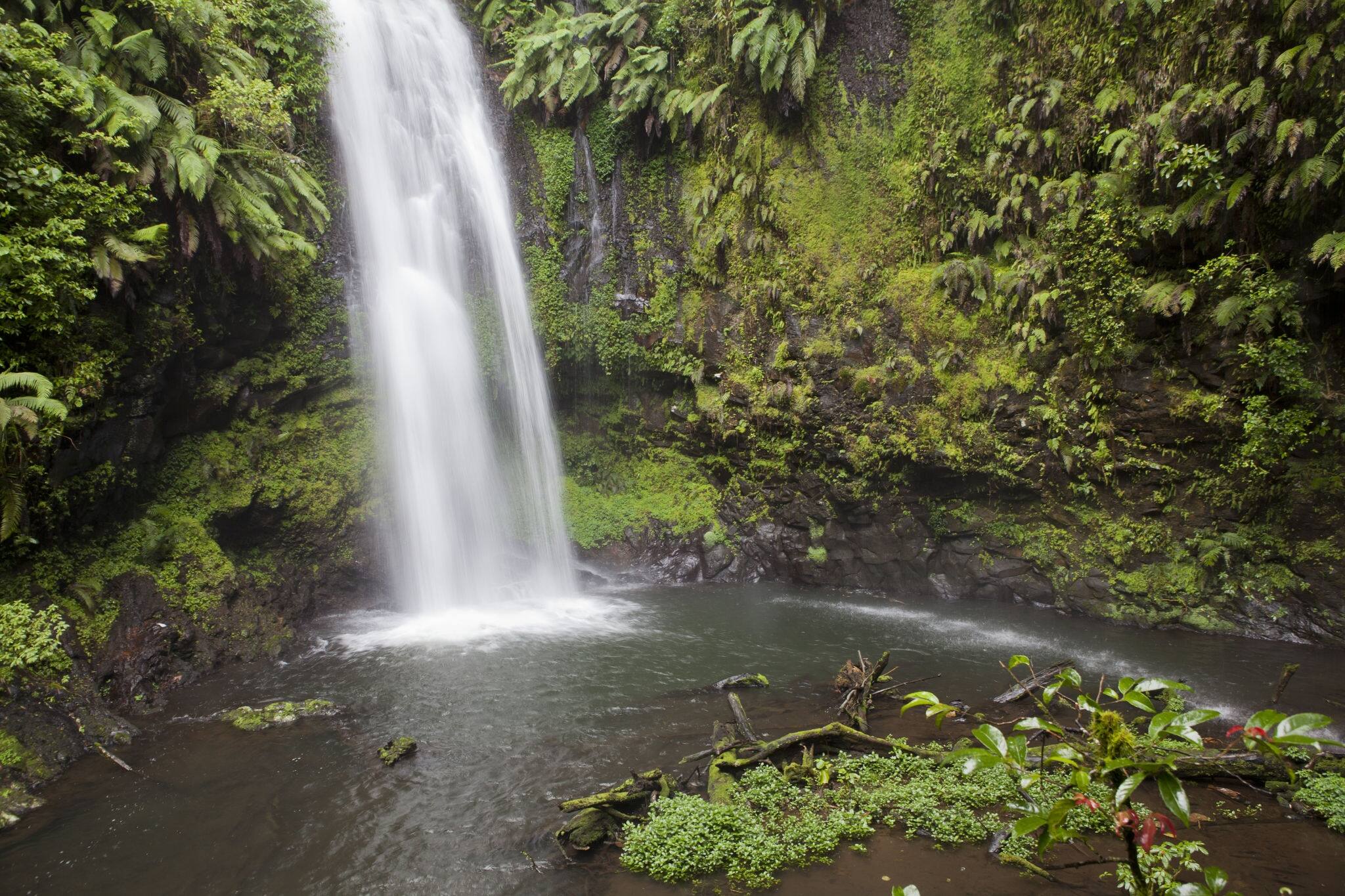 Waterfall in Montagne D'Ambre National Park