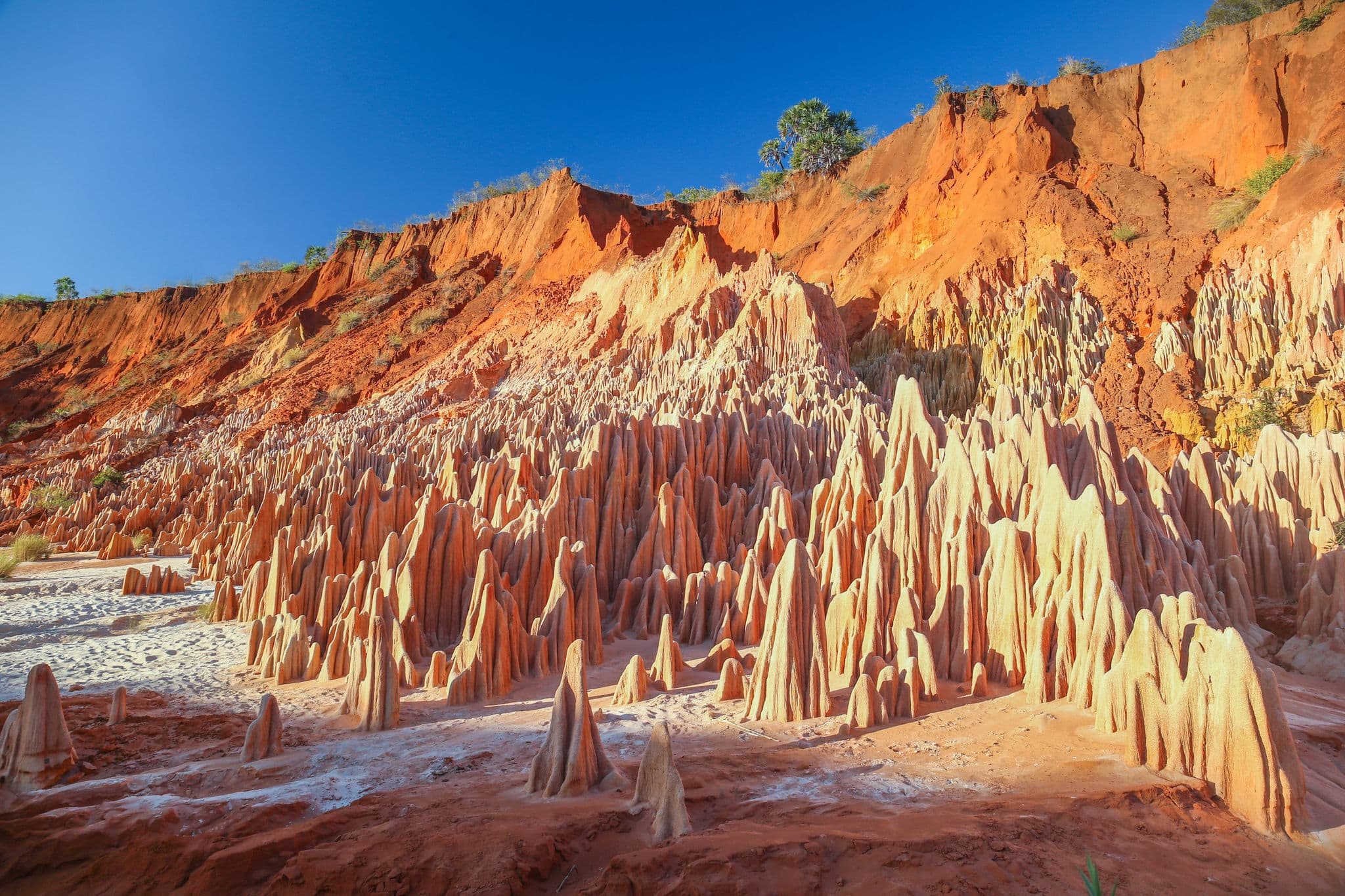 The Tsingy Rouge (Red Tsingy) is a stone formation of red laterite formed by erosion of the Irodo River in the region of Diana in northern Madagascar. 