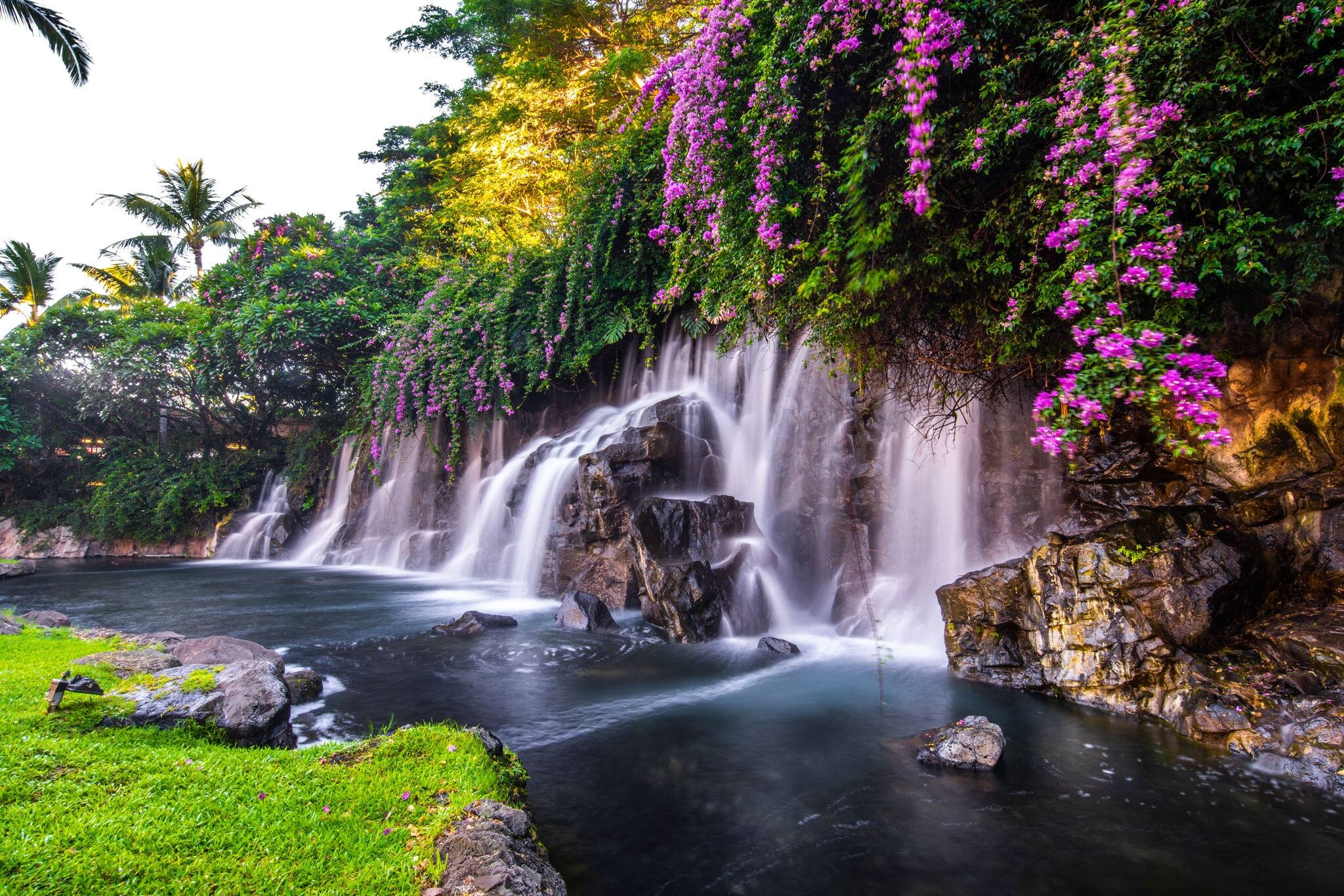 A beautiful waterfall in Hawaii